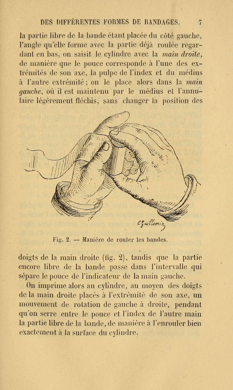 la partie libre de la bande étant placée du côté gauche, l'angle qu'elle forme avec la partie déjà roulée regar- dant on bas, on saisit le cylindre avec la maiii droite, de manière que le pouce corresponde à l'une des ex- trémités de son axe, la pulpe de l'index et du médius à l'autre extrémité ; on le place alors dans la main gauche, où il est maintenu par le médius et l'annu- laire légèrement fléchis, sans changer la position dès Fie-. 2. — Manière de rouler les bandes. doigts de la main droite (fig. 2), tandis que la partie encore libre de la bande passe dans l'intervalle qui sépare le pouce de l'indicateur de la main gauche. On imprime alors au cylindre, au moyen des doigts de la main droite placés à l'extrémité de son axe, un mouvement de rotation de gauche à droite, pendant qu'on serre entre le pouce et l'index de l'autre main la partie hbre de la bande, de manière à l'enrouler bien exactement à la surface du cylindre.