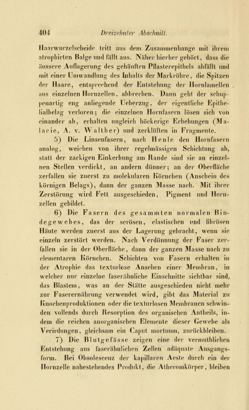 Hanivvurzelscheide tritt aus dem Zusainmenliange mit ihrem atropliirten Balg-e und fällt aus. Näher hierher gehört, dass die äussere Anflag-eiung des gehäuften Pflasterepithels ahfällt und mit einer Unnvandhing des [nhalts der Mark röhre, die Spitzen der Haare, entsprechend der Entstehung der llornlamellen aus einzelnen Hornzellen. ahbrechen. Dann geht der schup- penarlig eng anliegende Ueberzug, der eigentliche Epithe- lialbelag verloren; die einzelnen Hornfasern lösen sich von einander ab, erhalten ungleich höckerige Erhebungen (Ma- lacie, A. v. Walt her) und zerkiüften in Fragmente. 5) Die Linsenfasern, nach He nie den Hornfasern analog, weichen von ihrer regelmässigen Schichtung ab, statt der zackigen Einkerbung am Rande sind sie an einzel- nen Stellen verdickt, an andern dünner5 an der Oberfläche zerfallen sie zuerst zu molekularen Körnchen (Anschein des körnigen Belags), dann der ganzen Masse nach. Mit ihrer Zerstörung wird Fett ausgeschieden, Pigment und Horn- zellen gebildet. 6) Die Fasern des gesammten normalen Bin- degewebes, das der serösen, elastischen und fibrösen Häute werden zuerst aus der Lagerung gebracht, wenn sie einzeln zerstört werden. Nach Verdünnung der Faser zer- fallen sie in der Oberfläche, dann der ganzen Masse nach zu elementaren Körnchen. Schichten von Fasern erhalten in der Atrophie das texturlose Ansehen einer Membran, in welcher nur einzelne faserähnliche Einschnitte sichtbar sind, das Blastem, was an der Stätte ausgeschieden nicht mehr zur Faserernährung verwendet wird, gibt das Material zu Knochen Produktionen oder die texturlosen Membranen schwin- den vollends durch Resorption des organischen Antheils, in- dem die reichen anorganischen Elemente dieser Gewebe als Verirdungen, gleichsam ein Caput mortuum, zurückbleiben. 7) Die Blutgefässe zeigen eine der vermuthlichen Entstehung aus faserähnlichen Zellen adäquate Ausgangs- form. Bei Obsolescenz der kapillaren Aeste durch ein der Hornzelle nahestehendes Produkt, die Atheromkörper, bleiben