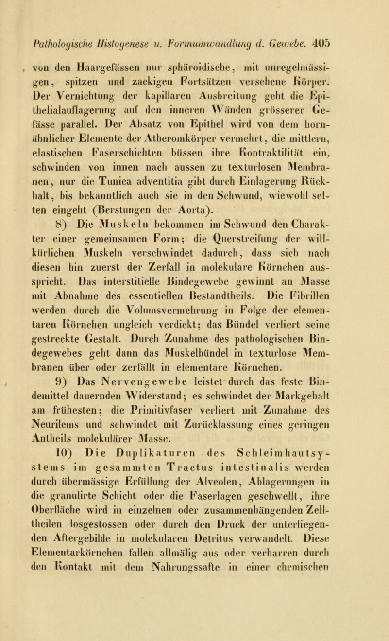 von den Haargefössen nur sphäroidische, mit unregelmässi- gen, spitzen und zackigen Fortsätzen versehene Körper. Der Vernichtung der kapillaren Ausbreitung geht die Epi- thelialauflagerung auf den inneren Wänden grösserer Ge- fässe parallel. Der Absatz von Epithel wird von dem horn- ähnlicher Elemente der Atheromkörper vermehrt 5 die mittlem, elastischen Faserschichten büssen ihre Kontraktilität ein, schwinden von innen nach aussen zu texturlosen Älembra- nen, nur die Tunica adventitia gibt durch Einlagerung Rück- halt, bis bekanntlich auch sie in den Schwund, wiewohl sel- ten eingeht (ßerstungen der Aorta). 8) Die Muskeln bekommen im Schwund den Charak- ter einer gemeinsamen Form; die Querstreifung der will- kürlichen Muskeln verschwindet dadurch, dass sich nach diesen hin zuerst der Zerfall in molekulare Körnchen aus- spricht. Das interstitielle Bindegewebe gewinnt an Masse mit Abnahme des essentiellen ßestandtheils. Die Fibrillen werden durch die Volumsvermehrung in Folge der elemen- taren Körnchen ungleich verdickt; das Bündel verliert seine gestreckte Gestalt. Durch Zunahme des pathologischen Bin- degewebes geht dann das Muskelbündel in texturlose Mem- branen über oder zerfällt in elementare Körnchen. 9) Das Nervengewebe leistet durch das feste Bin- demittel dauernden Widerstand; es schwindet der Markgehalt am frühesten; die Primitivfaser verliert mit Zunahme des Neurilems und schwindet mit Zurücklassung eines geringen Antheils molekularer blasse. 10) Die Duplikaturen des Schleimhautsy- stems im gesammten Tractus intestinalis werden durch übermässige Erfüllung der Alveolen, Ablagerungen in die granulirte Schicht oder die Faserlagen geschwellt, ihre Oberfläche wird in einzelnen oder zusammenhängenden Zell- theilen losgestossen oder durch den Druck der unterliegen- den Aftergebilde in molekularen Detiitus verwandelt. Diese Elementarkörnchen fallen allmälig aus oder verharren durch den Kontakt mit dem Nahrunssafte in einer chemischen