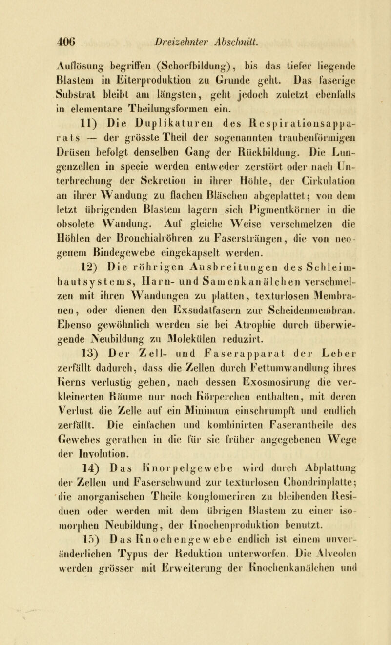 Auflösiiiig begriffen (Schorfbildung), bis das tiefer liegende Blastem in Eiterproduktion zu Grunde geht. Das faserige Substrat bleibt am längsten, geht jedoch zuletzt ebenfalls in elementare Theilungsformen ein. 11) Die Duplikaturen des Respirationsappa- rats — der grösste Theil der sogenannten traubenförmigen Drüsen befolgt denselben Gang der Rückbildung. Die Lun- genzellen in specie werden entweder zerstört oder nach Un- terbrechung der Sekretion in ihrer Höhle, der Cirkulation an ihrer Wandung zu flachen Bläschen abgeplattet; von dem letzt übrigenden Blastem lagern sich Pigmentkörner in die obsolete Wandung. Auf gleiche Weise verschmelzen die Höhlen der Bronchialröhren zu Fasersträngen, die von neo- genem Bindegewebe eingekapselt werden. 12) Die röhrigen Ausbreitungen des Schleim- hautsystems, Harn- und Sam enkan älchen verschmel- zen mit ihren Wandungen zu platten, texturlosen Membra- nen, oder dienen den Exsudatfasern zur Scheidenmembran. Ebenso gewöhnlich werden sie bei Atrophie durch überwie- gende Neubildung zu Molekülen reduzirt. 13) Der Zell- und F a s e r a p p a r a t der Leber zerfällt dadurch, dass die Zellen durch Fettumwandlung ihres Kerns verlustig gehen, nach dessen Exosmosirung die ver- kleinerten Räume nur noch Körperchen enthalten, mit deren Verlust die Zelle auf ein Mininuun einschrumpft und endlich zerfällt. Die einfachen und kombinirten Faserantheile des Gewebes gerathen in die für sie früher angegebenen Wege der Involution. 14) Das Knorpelgewebe wird durch Abplattung der Zellen und Faserschwund zur texturlosen Chondrinplatte; die anorganischen Theile konglomeriren zu bleibenden Resi- duen oder werden mit dem übrigen Blastem zu einer iso- morphen Neubildung, der Knochenproduklion benutzt. lo) Das Knochengewebe endlich ist einem unver- änderlichen Typus der Reduktion unterw^orfen. Die Alveolen werden grösser mit Erweiterung der Knochcnkanälchen und