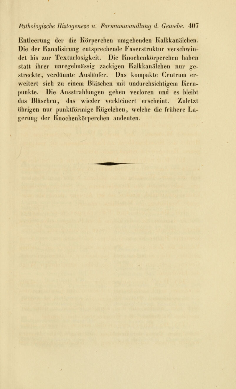 Entleerung der die Körperchen umgebenden Kalkkanälchen. Die der Kanalisirung entsprechende Faserstruktur verschwin- det bis zur Texturlosigkeit. Die Knochenkörperchen haben statt ihrer unregehnässig zackigen Kalkkanälchen nur ge- streckte, verdünnte Ausläufer. Das kompakte Centrum er- v^^eitert sich zu einem Bläschen mit undurchsichtigem Kern- punkte. Die Ausstrahlungen gehen verloren und es bleibt das Bläschen j das wieder verkleinert erscheint. Zuletzt übrigen nur punktförmige Kügelchen, welche die frühere La- gerung der Knochenkörperchen andeuten.