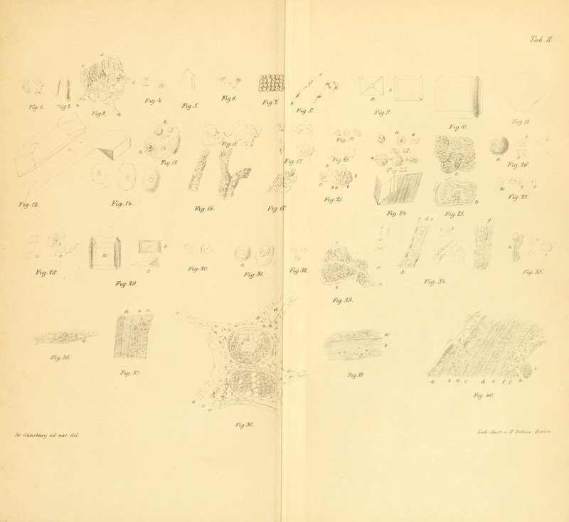 ^•' ^ ■' \: FigJ. 'ig'' ^ Fu,J. Fi^.9,i^ 'J '■' Fuf. /¥. fcy.j El /^Ä? ^ $ 'f ./6- Fu^Y 7'aA // ^ ^^ F^.J^ Ft0.9. 7 Fig.^ F,.j // 1 Fxy/V. ^1 Fiff.i/. FigZA^ <.. ''^'' Faj // /^Y/ ?/<• Fuf.zr '•' \\-:> '■f-'J. .:■. M;i '^ Ficf-.M Pig.Sf. Fif,.3!l. 'S^'' #^'.. Fz<j.3i Fuf.Sf. m Fi^.33. Füj.Se. F^.ST F^S9. 4v^' I}r irüruäurt/ uJ na/ fü/ Ft^3S. /.,//, M.^1 ,. // /J^/,.,,,e'rl,»