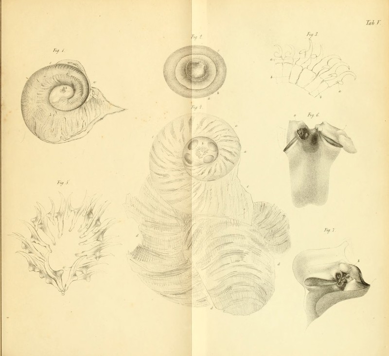 ?'?<■/ f ■^'wt ß,a3 Tüh r für../. f'm ms m -^. \'S'' 3-:^ '■ - idyj f X Fu,6. % t^