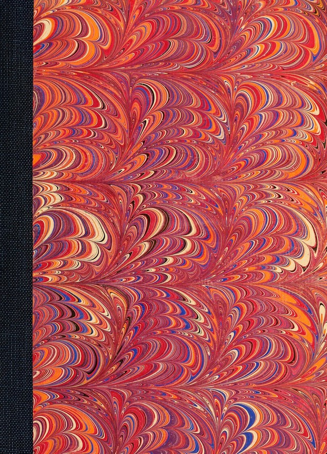 No text description is available for this image