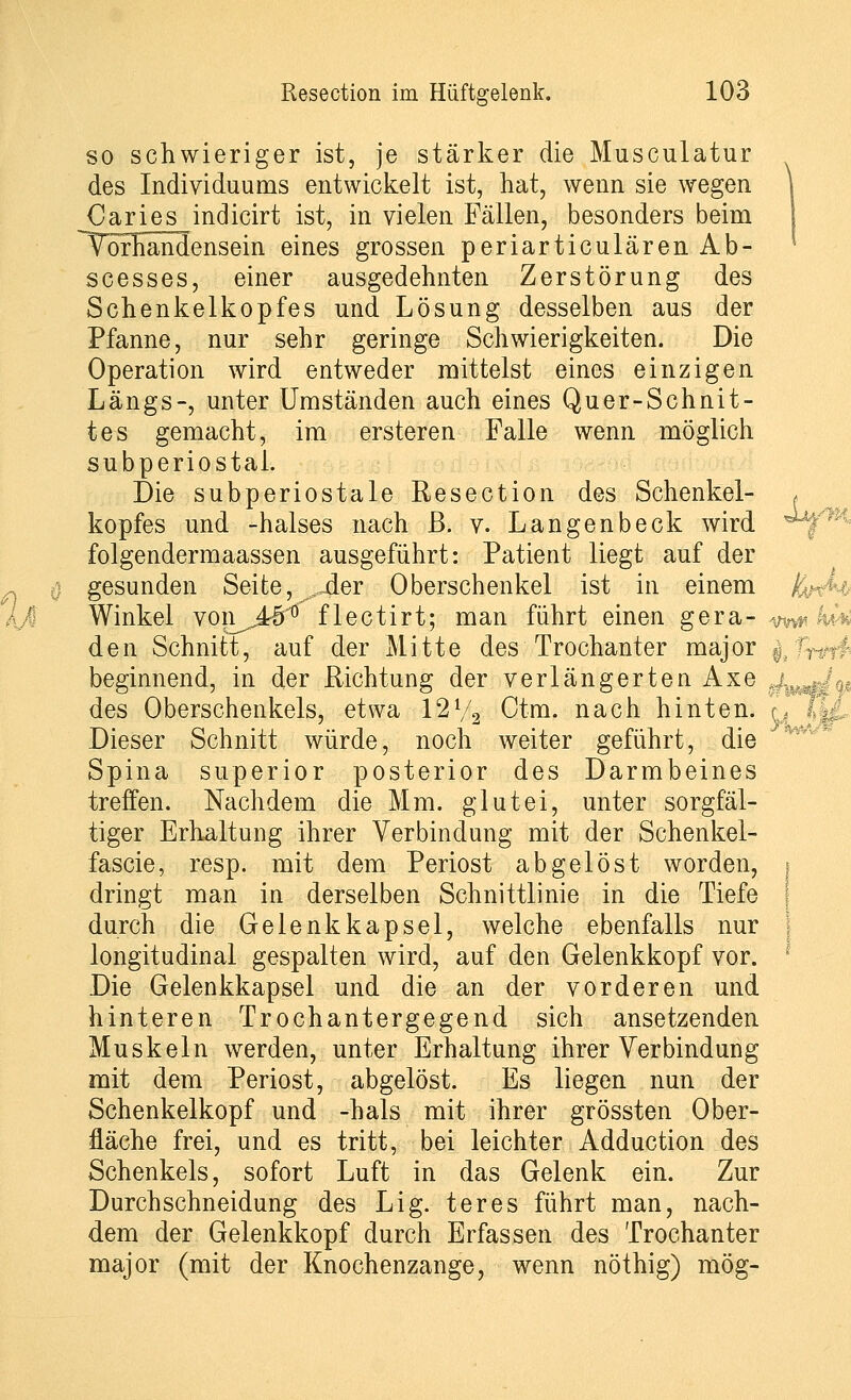 so schwieriger ist, je stärker die Musculatur des Individuums entwickelt ist, hat, wenn sie wegen \ Caries indicirt ist, in vielen Fällen, besonders beim ~TörKandensein eines grossen periarticulären Ab- * scesses, einer ausgedehnten Zerstörung des Schenkelkopfes und Lösung desselben aus der Pfanne, nur sehr geringe Schwierigkeiten. Die Operation wird entweder mittelst eines einzigen Längs-, unter Umständen auch eines Quer-Schnit- tes gemacht, im ersteren Falle wenn möglich subperiostal. Die subperiostale Resection des Schenkel- , kopfes und -halses nach ß. v. Langenbeck wird ^f^ folgendermaassen ausgeführt: Patient liegt auf der gesunden Seite, „.der Oberschenkel ist in einem &<H Winkel von^Jrö13 flectirt; man führt einen gera- ^ kfa den Schnitt, auf der Mitte des Trochanter major ^l'rirth beginnend, in der Richtung der verlängerten Axe J^J^ des Oberschenkels, etwa 12V2 Ctm. nach hinten. t Dieser Schnitt würde, noch weiter geführt, die Spina superior posterior des Darmbeines treffen. Nachdem die Mm. glutei, unter sorgfäl- tiger Erhaltung ihrer Verbindung mit der Schenkel- fascie, resp. mit dem Periost abgelöst worden, t dringt man in derselben Schnittlinie in die Tiefe durch die Gelenkkapsel, welche ebenfalls nur longitudinal gespalten wird, auf den Gelenkkopf vor. f Die Gelenkkapsel und die an der vorderen und hinteren Trochantergegend sich ansetzenden Muskeln werden, unter Erhaltung ihrer Verbindung mit dem Periost, abgelöst. Es liegen nun der Schenkelkopf und -hals mit ihrer grössten Ober- fläche frei, und es tritt, bei leichter Adduction des Schenkels, sofort Luft in das Gelenk ein. Zur Durchschneidung des Lig. teres führt man, nach- dem der Gelenkkopf durch Erfassen des Trochanter major (mit der Knochenzange, wenn nöthig) mög-