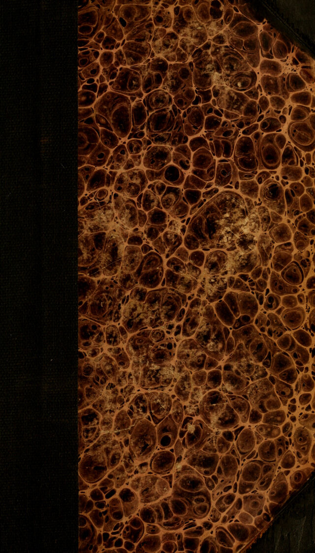 digitised image 1