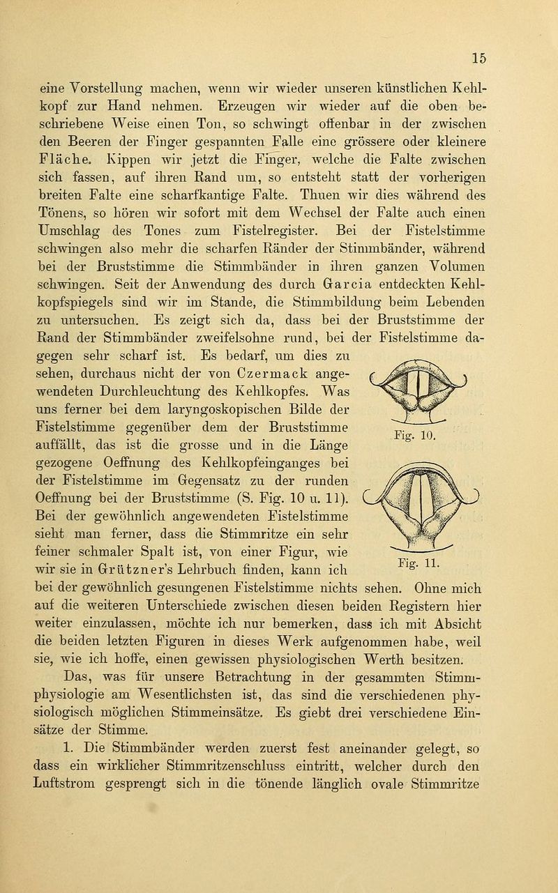 eine Vorstellung machen, wenn wir wieder unseren künstlichen Kehl- kopf zur Hand nehmen. Erzeugen wir wieder auf die oben be- schriebene Weise einen Ton, so schwingt offenbar in der zwischen den Beeren der Finger gespannten Falle eine grössere oder kleinere Fläche. Kippen wir jetzt die Finger, welche die Falte zwischen sich fassen, auf ihren Rand um, so entsteht statt der vorherigen breiten Falte eine scharfkantige Falte. Thuen wir dies während des Tönens, so hören wir sofort mit dem Wechsel der Falte auch einen Umschlag des Tones zum Fistelregister. Bei der Fistelstimme schwingen also mehr die scharfen Ränder der Stimmbänder, während bei der Bruststimme die Stimmbänder in ihren ganzen Volumen schwingen. Seit der Anwendung des durch Garcia entdeckten Kehl- kopfspiegels sind wir im Stande, die Stimmbildung beim Lebenden zu untersuchen. Es zeigt sich da, dass bei der Bruststimme der Rand der Stimmbänder zweifelsohne rund, bei der Fistelstimme da- gegen sehr scharf ist. Es bedarf, um dies zu sehen, durchaus nicht der von Czermack ange- wendeten Durchleuchtung des Kehlkopfes. Was uns ferner bei dem laryngoskopischen Bilde der Fistelstimme gegenüber dem der Bruststimme auffällt, das ist die grosse und in die Länge gezogene Oeffnung des Kehlkopf eingange s bei der Fistelstimme im Gegensatz zu der runden Oeö'nung bei der Bruststimme (S. Fig. 10 u. 11). Bei der gewöhnlich angewendeten Fistelstimme sieht man ferner, dass die Stimmritze ein sehr feiner schmaler Spalt ist, von einer Figur, wie wir sie in Grützner's Lehrbuch finden, kann ich bei der gewöhnlich gesungenen Fistelstimme nichts sehen. Ohne mich auf die weiteren Unterschiede zwischen diesen beiden Registern hier weiter einzulassen, möchte ich nur bemerken, dass ich mit Absicht die beiden letzten Figuren in dieses Werk aufgenommen habe, weil sie, wie ich hoffe, einen gewissen physiologischen Werth besitzen. Das, was für unsere Betrachtung in der gesammten Stimm- physiologie am Wesentlichsten ist, das sind die verschiedenen phy- siologisch möglichen Stimmeinsätze. Es giebt drei verschiedene Ein- sätze der Stimme. 1. Die Stimmbänder werden zuerst fest aneinander gelegt, so dass ein wirklicher Stimmritzenschluss eintritt, welcher durch den Luftstrom gesprengt sich in die tönende länglich ovale Stimmritze Fig. 11.