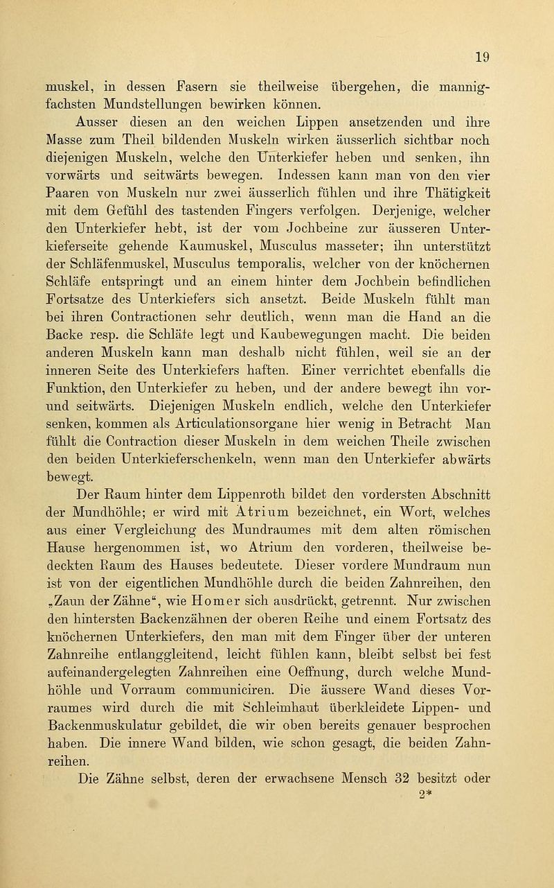 mnskel, in dessen Fasern sie theilweise übergelien, die mannig- faclisten Mundstellungen bewirken können. Ausser diesen an den weichen Lippen ansetzenden und ihre Masse zum Theil bildenden Muskeln wirken äusserlicb sichtbar noch diejenigen Muskeln, welche den Unterkiefer heben und senken, ihn vorwärts und seitwärts bewegen. Indessen kann man von den vier Paaren von Muskeln nur zwei äusserlich fühlen und ihre Thätigkeit mit dem Gefühl des tastenden Fingers verfolgen. Derjenige, welcher den Unterkiefer hebt, ist der vom Jochbeine zur äusseren Unter- kieferseite gehende Kaumuskel, Musculus masseter; ihn unterstützt der Schläfenmuskel, Musculus temporalis, welcher von der knöchernen Schläfe entspringt und an einem hinter dem Jochbein befindlichen Fortsatze des Unterkiefers sich ansetzt. Beide Muskeln fühlt man bei ihren Contractionen sehr deutlich, wenn man die Hand an die Backe resp. die Schläfe legt und Kaubewegungen macht. Die beiden anderen Muskeln kann man deshalb nicht fühlen, weil sie an der inneren Seite des Unterkiefers haften. Einer verrichtet ebenfalls die Funktion, den Unterkiefer zu heben, und der andere bewegt ihn vor- und seitwärts. Diejenigen Muskeln endlich, welche den Unterkiefer senken, kommen als Articulationsorgane hier wenig in Betracht Man fühlt die Contraction dieser Muskeln in dem weichen Theile zwischen den beiden Unterkieferschenkeln, wenn man den Unterkiefer abwärts bewegt. Der Raum hinter dem Lippenroth bildet den vordersten Abschnitt der Mundhöhle; er wird mit Atrium bezeichnet, ein Wort, welches aus einer Vergleichung des Mundraumes mit dem alten römischen Hause hergenommen ist, wo Atrium den vorderen, theilweise be- deckten Raum des Hauses bedeutete. Dieser vordere Mundraum nun ist von der eigentlichen Mundhöhle durch die beiden Zahnreihen, den „Zaun der Zähne, wie Homer sich ausdrückt, getrennt. Nur zwischen den hintersten Backenzähnen der oberen Reihe und einem Fortsatz des knöchernen Unterkiefers, den man mit dem Finger über der unteren Zahnreihe entlanggleitend, leicht fühlen kann, bleibt selbst bei fest aufeinandergelegten Zahnreihen eine Oeflfnung, durch welche Mund- höhle und Vorraum communiciren. Die äussere Wand dieses Vor- raumes wird durch die mit Schleimhaut überkleidete Lippen- und Backenmuskulatur gebildet, die wir oben bereits genauer besprochen haben. Die innere Wand bilden, wie schon gesagt, die beiden Zahn- reihen. Die Zähne selbst, deren der erwachsene Mensch 32 besitzt oder