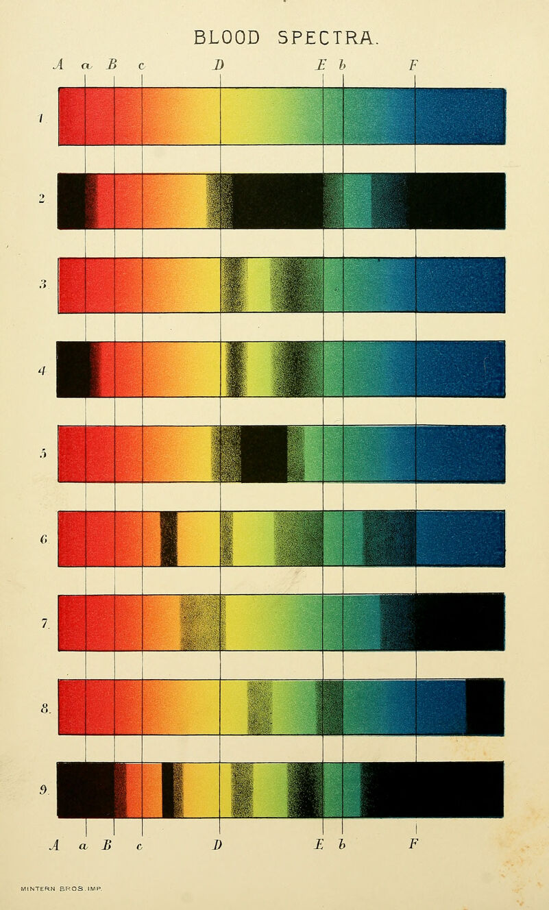 BLOOD SPECTRA. A CL B c ••JTERN EROS.IMF