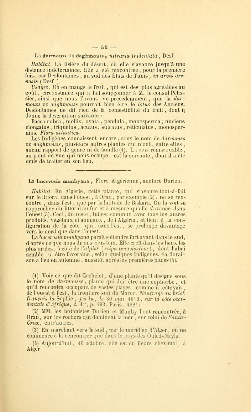 La darmoîiss OU daghmouss, nilraria tridentata , Desf. Habitat La lisière du désert, où elle s'avance jusqu'à une dislance indéterminée. Elle a été rencontrée, pour la première fois , par Di'sfontaines , au sud des États de Tunis , in arvis are- nosis ( Desf ). Usages. On en mange le fruit, qui est des plus agréables au goût, circonstance qui a fait soupçonner à M. le consul Pélis- sier, ainsi que nous l'avons vu précédemment, que la dar- mouss ou daghmouss pourrait bien être le lotus des Anciens. Desfontaines ne dit rien de la coraestibililé du fruit, dont i^ donne la description suivante : Bacca rubra , mollis, ovata , pendula , raonosperma; nucleus elongatus , triquetus , acutus , sulcatus , reticulatus , monosper- mus. Flora atlantica. Les Indigènes connaissent encore, sous le nom de darmouss ou daghmouss, plusieurs autres plantes qui n'ont, entre elles , aucun rapport de genre ni de famille (1). L.i pin? remarquable, au point de vue qui nous occupe , est la suivante , dont il a été oinis de traiter en son lieu. La bucerosia munbyaaa , Flore Algérienne, auctore Durieu. Habitat. En Algérie, cette plante, qui s'avance tout-à-fait sur le littoral dans l'ouest, à Oran, par exemple (2), ne se ren- contre , dans l'est, que par la latitude de Biskara. On la voit se rapprocher du littoral au fur et à mesure qu'elle s'avance dans l'ouest (3). Ceci , du reste , lui est commun avec tous les autres produits, végétaux et animaux , de l'Algérie , et tient à la con- figuration de la côte, qui, dans l'est, se prolonge davantage vers le nord que dans l'ouest. La bucerosia munbyana paraît s'étendre fort avant dans le sud, d'après ce que nous dirons plus loin. Elle croît dans les lieux les plus arides , à côté de lalpha ( stipa tenacissima ), dont l'abri semble lui être favorable , selon quelques Indigènes. Sa florai- son a lieu en automne , aussitôt après les premières pluies (4). (1) Voir ce que dit Cocbelet, d'une plante qu'il désigne sous le nom de darmousse, plante qui doit être une euphorbe , et qu'il rencontra occupant de vastes plages , comme il côtoyait, de l'ouest à l'est, la frontière sud du Maroc. Naufrage du brick français la Sophie , perdu., le 30 mai '1819 , sur la côte occi- dentale d'Afrique, t. 1,/j. 193. Paris, 1821, (2) MM. les botanistes Durieu et Munby l'ont rencontrée, à Oran, sur les rochers qui dominent la mer , sur celui de Santa- Crux, entr'autres. (3) En marchant vers le sud , par le méridien d'Alger, od ne commence à la rencontrer que dans le pays des Ouled-Nayls. (4) Aujourd'hui, 10 octobre, elle est en fleurs chez moi, à Alger.