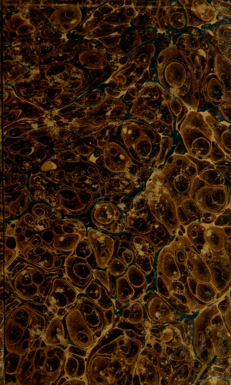 .^i^ V^^fM»^ ^•^>I-./ '^V > T * //:« ■K^ v -.-. •■=4*r lüK^ ^■■■^vA: 'm •*/ V?; .*■ i: