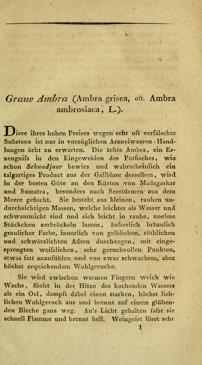 Graue Amhra (Ambra grisea, oft. Ambra ambrosiaca, L.). JLIiese ihres hohen Preises wegen sehr oft verfälschte Substanz ist nur in vorzüglichen Arznei\vaaren - Hand- lungen acht zu erwarten. Die ächte Ambra, ein Er- zeugnifs in den Eingeweiden des Pothsches, wie schon Sähwedjaur bewies und ■wahrscheinlich ein talgartiges Product aus der Gallblase desselben, wird in der besten Güte an den Küsten von Madagaskar und Sumatra, besonders nach Seestürmen aus dem Meere gefischt. Sie besteht aus kleinen, rauhen un- durchsiclitigen Massen, welche leichter als Wasser und schwammicht sind und sich leicht in rauhe, unebne Stückchen zerbröckeln lassen, äufserlich bräunlich graulicher Farbe, innerlich von gelblichen, röthlichen und schwärzlichten Adern durchzogen, mit einge- sprengten weifslichen, sehr geruchvollen Punkten, etwas fett anzufühlen und von zv/ar schwachem, aber höchst erquickendem Wohlgeruche. Sie wird zwischen warmen Fingern weich wie Wachs, fliefst in der Hitze des kochenden Wassers als ein Oel, dampft dabei einen starken, höchst lieb- lichen Wohlgeruch aus und brennt auf einem glühen- den Bleche ganz weg. An's Licht gehalten fafst sie schnell Flamme und brennt hell. Weingeist löset sehr