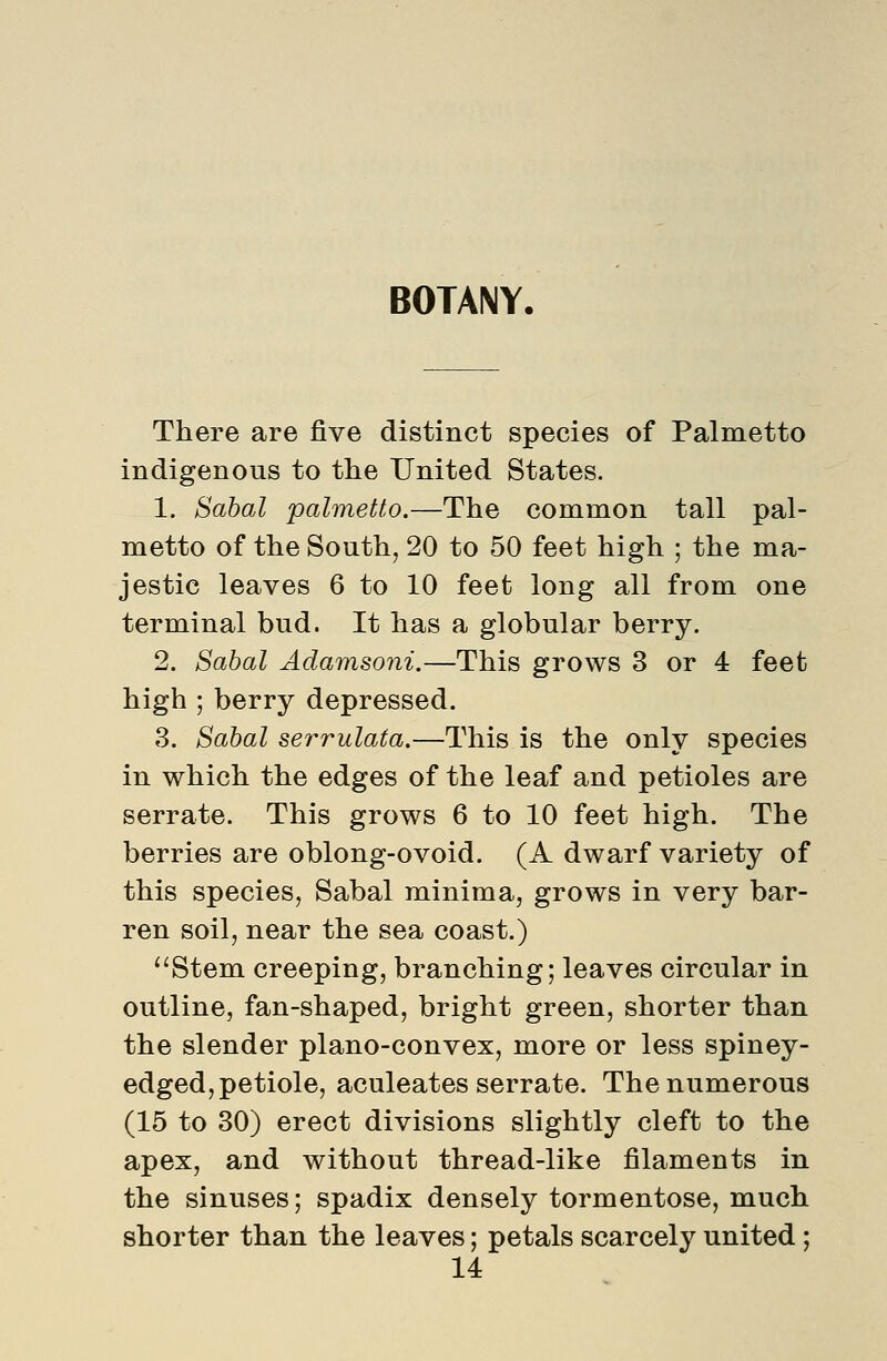 BOTANY. There are five distinct species of Palmetto indigenous to the United States. 1. Sahal palmetto.—The common tall pal- metto of the South, 20 to 50 feet high ; the ma- jestic leaves 6 to 10 feet long all from one terminal bud. It has a globular berry. 2. Sahal Adamsoni.—This grows 3 or 4 feet high ; berry depressed. 3. Sabal serrulata.—This is the only species in which the edges of the leaf and petioles are serrate. This grows 6 to 10 feet high. The berries are oblong-ovoid. (A dwarf variety of this species, Sabal minima, grows in very bar- ren soil, near the sea coast.) ''Stem creeping, branching; leaves circular in outline, fan-shaped, bright green, shorter than the slender plano-convex, more or less spiney- edged, petiole, aculeates serrate. The numerous (15 to 30) erect divisions slightly cleft to the apex, and without thread-like filaments in the sinuses; spadix densely tormentose, much shorter than the leaves; petals scarcely united;