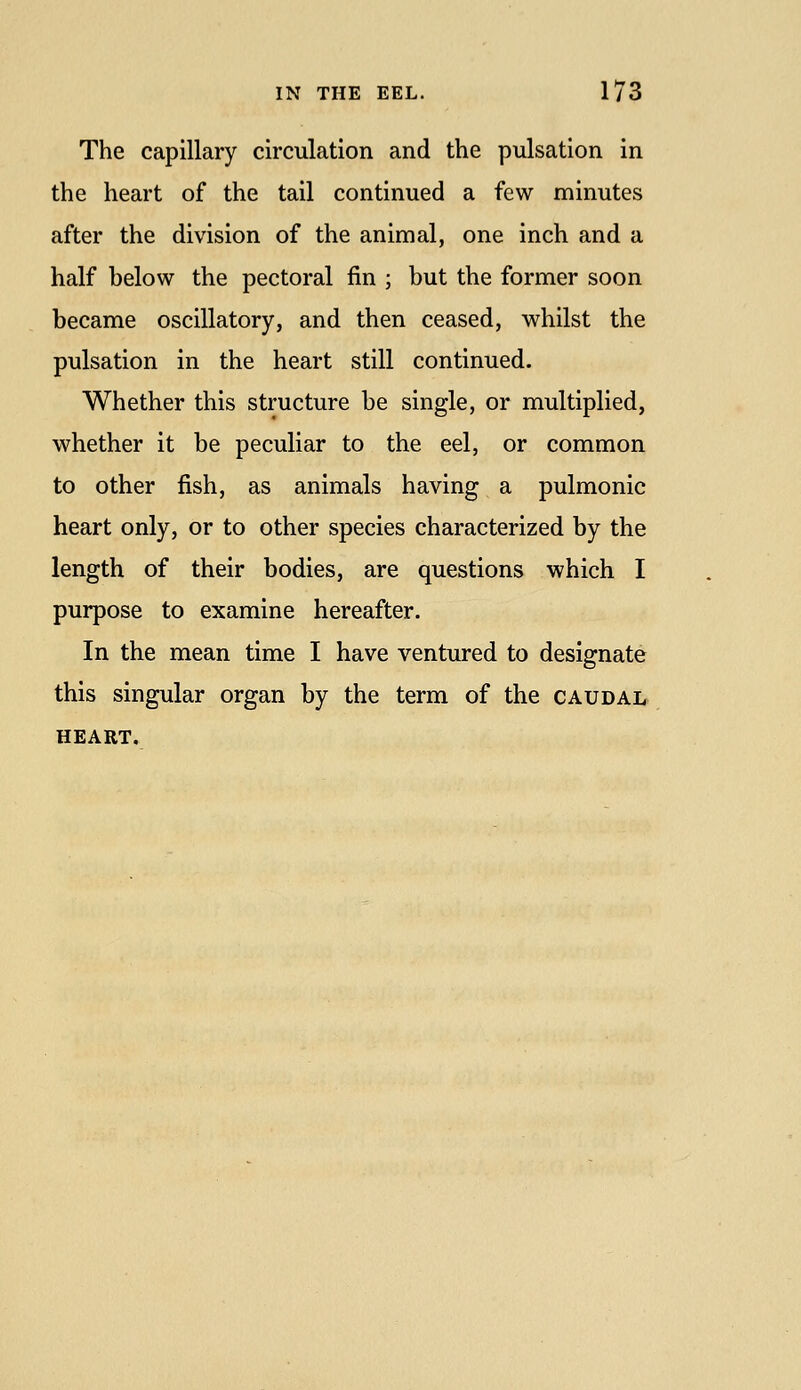 The capillary circulation and the pulsation in the heart of the tail continued a few minutes after the division of the animal, one inch and a half below the pectoral fin ; but the former soon became oscillatory, and then ceased, whilst the pulsation in the heart still continued. Whether this structure be single, or multiplied, whether it be peculiar to the eel, or common to other fish, as animals having a pulmonic heart only, or to other species characterized by the length of their bodies, are questions which I purpose to examine hereafter. In the mean time I have ventured to designate this singular organ by the term of the caudal HEART.