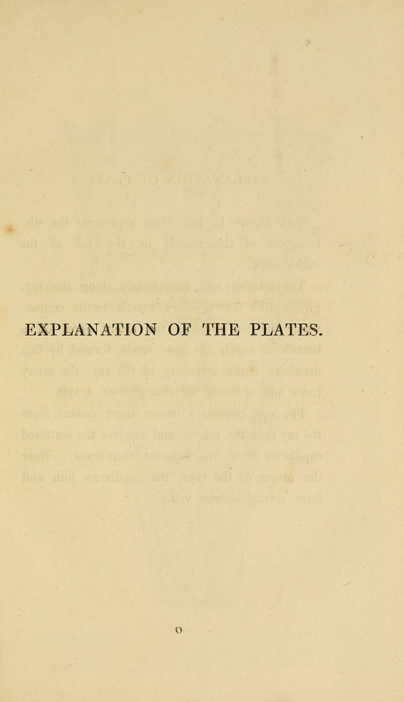 EXPLANATION OF THE PLATES.