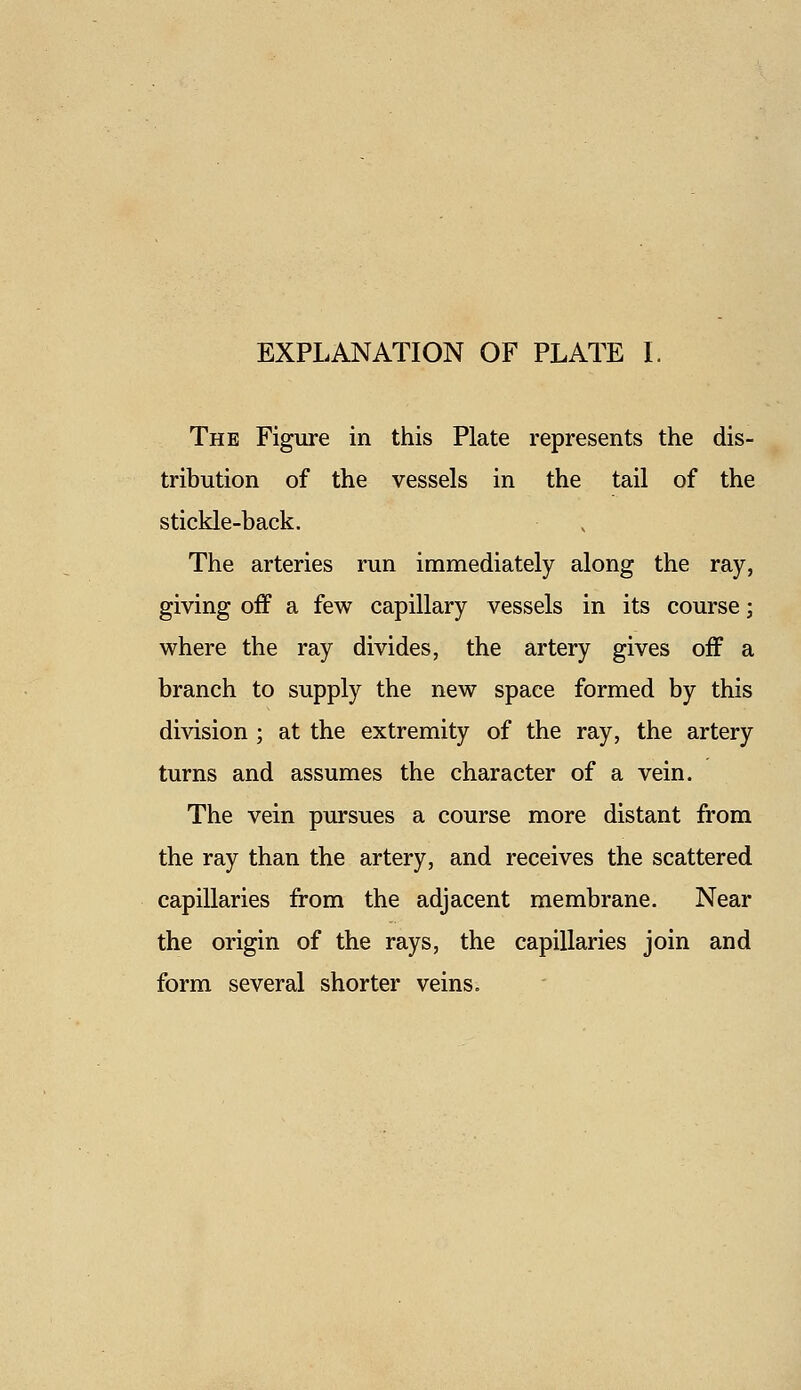 The Figure in this Plate represents the dis- tribution of the vessels in the tail of the stickle-back. The arteries run immediately along the ray, giving off a few capillary vessels in its course; where the ray divides, the artery gives off a branch to supply the new space formed by this division ; at the extremity of the ray, the artery turns and assumes the character of a vein. The vein pursues a course more distant from the ray than the artery, and receives the scattered capillaries from the adjacent membrane. Near the origin of the rays, the capillaries join and form several shorter veins.