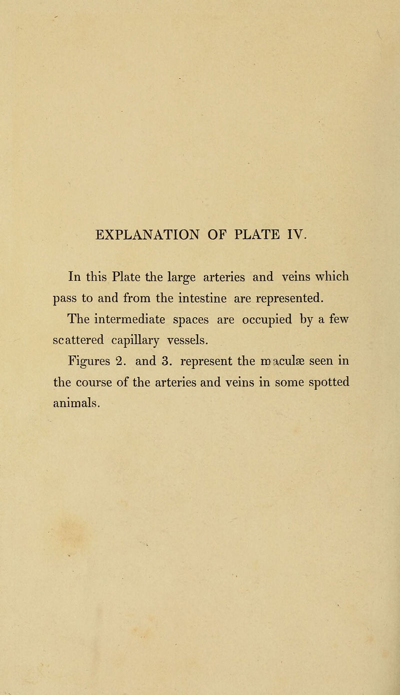 In this Plate the large arteries and veins which pass to and from the intestine are represented. The intermediate spaces are occupied by a few scattered capillary vessels. Figures 2. and 3. represent the maculae seen in the course of the arteries and veins in some spotted animals.