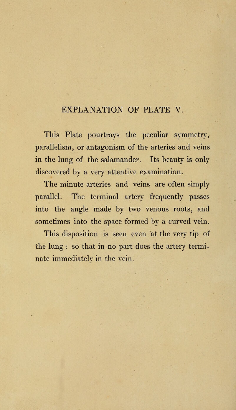 This Plate pourtrays the peculiar symmetry, parallelism, or antagonism of the arteries and veins in the lung of the salamander. Its beauty is only discovered by a very attentive examination. The minute arteries and veins are often simply parallel. The terminal artery frequently passes into the angle made by two venous roots, and sometimes into the space formed by a curved vein. This disposition is seen even at the very tip of the lung: so that in no part does the artery termi- nate immediately in the vein.