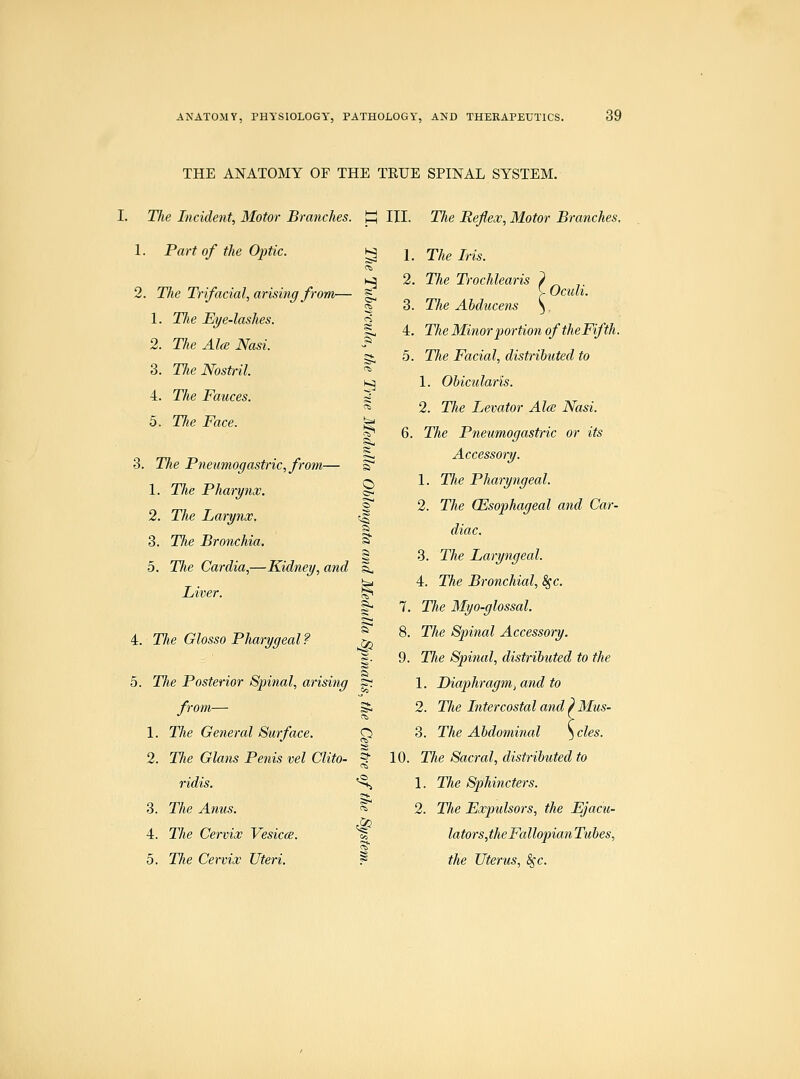 THE ANATOMY OF THE TRUE SPINAL SYSTEM. I. Tlie Incident, Motor Branches. 1. Part of the Optic. 2. The Trifacial, arising from— 1. The Eye-lashes. 2. The Alee Nasi. 3. The Nostril. 4. The Fauces. 5. The Face. 3. The Pneumogastric, from— 1. The Pharynx. 2. The Larynx. 3. The Bronchia. 5. Tlie Cardia,—Kidney, and Liver. 4. The Glosso Pharygeal f 5. The Posterior Spinal, arising from— 1. The General Surface. 2. TJie Glans Penis vel Clito- ridis. 3. The Anus. 4. The Cervix Vesicce. 5. The Cervix Uteri. HH III. TJie Reflex, Motor Branches. g 1. The L-is. hJ 2. The Trochlearis } a s- Ocuh. 3. The Abducens ^. 4. The Minor portion of theFifth. 5. The Facial, distributed to 1. Obicularis. 2. The Levator Alee Nasi. 6. The Pneumogastric or its Accessory. 1. The Pharyngeal. 2. The (Esophageal and Car- diac. 3. The Laryngeal. 4. The Bronchial, Sgc. 7. The Myo-glossal. 8. The Spinal Accessory. 9. The Spinal, distributed to the 1. Diaphragm^ and to 2. The Intercostal and ? Mus- 3. The Abdominal ^cles. 10. The Sacral, distributed to 1. The Sphincters. 2. The Expulsors, the Ejacu- lators,theFallopianTubes, the Uterus, ^c. o a IS Si- a Si f Co