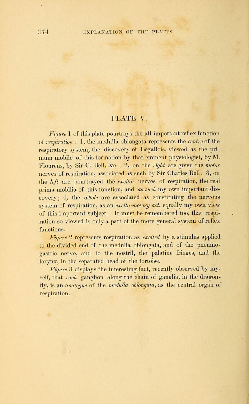 PLATE V. Fiyure 1 of this plate pourtrays the all important reflex function of respiration : 1, the niednlla oblongata represents the centre of the respiratory system, the discovery of Legallois, viewed as the pri- mum mobile of this formation by that eminent physiologist, by M. Flourens, by Sir C. Bell, &c, ; 2, on the right are given the motor nerves of respiration, associated as such by Sir Charles Bell; 3, on the left are pourtrayed the excitor nerves of respiration, the real prima mobilia of this function, and as such my own important dis- covery ; 4, the wliole are associated as constituting the nervous system of respiration, as an excito-motory act, equally my own view of this important subject. It must be remembered too, that respi- ration so viewed is only a part of the more general system of reflex functions. Figure 2 represents respiration as excited by a stimulus applied to the divided end of the medulla oblongata, and of the pneumo- gastric nerve, and to the nostril, the palatine fringes, and the larynx, in the separated head of the tortoise. Figure 3 displays the interesting fact, recently observed by my- selij that each ganglion along the chain of ganglia, in the dragon- fly, is an analogue of the medulla oblongata, as the central organ of respiration.