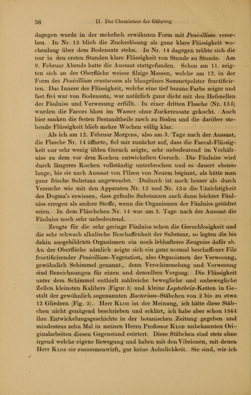dagegen wurde in der mehrfach erwähnten Form mit Pemdllium verse- hen. In Nr. 13 blieb die Zuckerlösung als ganz klare Flüssigkeit wo- chenlang über dem Bodensatz stehn. In Nr. 14 dagegen trübte sich die nur in den ersten Stunden klare Flüssigkeit von Stunde zu Stunde. Am 9. Februar Abends hatte die Aussaat stattgefunden. Schon am 11. zeig- ten sich an der Oberfläche weisse filzige Massen, welche am 12. in der Form des Pe7iiciUium crustaceum als blaugrünes Sammetpolster fructificir- ten. Das Innere der Flüssigkeit, welche eine tief braune Farbe zeigte und fast frei war von Bodensatz, war natürlich ganz dicht mit den Hefezellen der Fäulniss und Verwesung erfüllt. In einer dritten Flasche (Nr. 13 i) wurden die Faeces bloss im Wasser ohne Zuckerzusatz gekocht. Auch hier sanken die festen Bestandtheile rasch zu Boden und die darüber ste- hende Flüssigkeit blieb mehre Wochen völlig klar. Als ich am 12. Februar Morgens, also am 3. Tage nach der Aussaat, die Flasche Nr. 14 öffnete, fiel mir zunächst auf, dass die Faecal-Flüssig- keit nur sehr wenig üblen Geruch zeigte, sehr unbedeutend im Verhält- niss zu dem vor dem Kochen entwickelten Geruch. Die Fäulniss wird durch längeres Kochen vollständig unterbrochen und es dauert ebenso lange, bis sie nach Aussaat von Pilzen von Neuem beginnt, als hätte man ganz frische Substanz angewendet. Dadurch ist noch besser als durch Versuche wie mit den Apparaten Nr. 13 und Nr. 13 a die Unrichtigkeit des Dogma's erwiesen^ dass gefaulte Substanzen auch dann leichter Fäul- niss erregen als andere Stoffe, wenn die Organismen der Fäulniss getödtet seien. In dem Fläschchen Nr. 14 war am 3. Tage nach der Aussaat die Fäulniss noch sehr unbedeutend. Zeugte für die sehr geringe Fäulniss schon die Geruchlosigkeit und die sehr schwach alkalische Beschaffenheit der Substanz, so legten die bis dahin ausgebildeten Organismen ein noch lebhafteres Zeugniss dafür ab. An der Oberfläche nämlich zeigte sich ein ganz normal beschaffener Filz fructificirender P(e?i«W//mm-Vegetation, also Organismen der Verwesung, gewöhnlich Schimmel genannt, denn Verschimmelung und Verwesung sind Bezeichnungen für einen und denselben Vorgang. Die Flüssigkeit unter dem Schimmel enthielt zahlreiche bewegliche und unbewegliche Zellen kleinsten Kalibers (Figur 3) und kleine Leptothrix-J^etten in Ge- stalt der gewöhnlich sogenannten Bacte7'iumSiahch.en von 2 bis zu etwa 12 Gliedern (Fig. 3). Herr Klob ist der Meinung, ich hätte diese Stäb- chen nicht genügend beschrieben und erklärt, ich habe aber schon 1864 ihre Entwickelungsgeschichte in der botanischen Zeitung gegeben und mindestens zehn Mal in meinen Herrn Professor Klob unbekannten Ori- ginalarbeiten diesen Gegenstand erörtert. Diese Stäbchen sind stets ohne irgend welche eigene Bewegung und haben mit den Vibrionen, mit denen Herr Klob sie zusammenwirft, gar keine Aehnlichkeit. Sie sind, wie ich