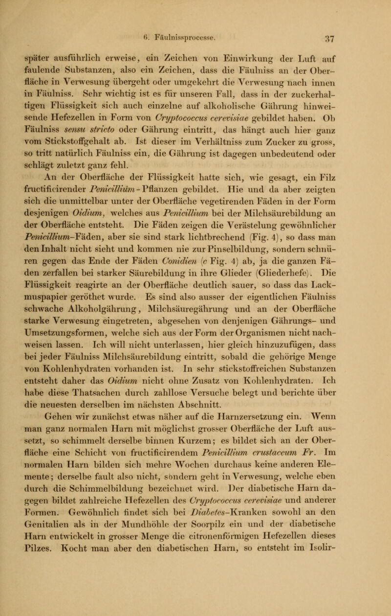 später ausführlich erweise, ein Zeichen von Einwirkung der Luft auf faulende Substanzen, also ein Zeichen, dass die Fäulniss an der Ober- fläche in Verwesung übergeht oder umgekehrt die Verwesung nach innen in Fäulniss. Sehr wichtig ist es für unseren Fall, dass in der zuckerhal- tigen Flüssigkeit sich auch einzelne auf alkoholische Gährung hinwei- sende Hefezellen in Form von Cryptococcus cerevisiae gebildet haben. Ob Fäulniss setisu stricto oder Gährung eintritt, das hängt auch hier ganz vom Stickstoffgehalt ab. Ist dieser im Verhältniss zum Zucker zu gross, so tritt natürlich Fäulniss ein, die Gährung ist dagegen unbedeutend oder schlägt zuletzt ganz fehl. An der Oberfläche der Flüssigkeit hatte sich, wie gesagt, ein Filz fructificirender Penicilliüm - Pflanzen gebildet. Hie und da aber zeigten sich die unmittelbar unter der Oberfläche vegetirenden Fäden in der Form desjenigen Oidium, welches aus Penicilliüm bei der Milchsäurebildung an der Oberfläche entsteht. Die Fäden zeigen die Verästelung gewöhnlicher Pe?iicillium-¥äden, aber sie sind stark lichtbrechend (Fig. 4), so dass man den Inhalt nicht sieht und kommen nie zur Pinselbildung, sondern schnü- ren gegen das Ende der Fäden Conidien [c Fig. 4) ab, ja die ganzen Fä- den zerfallen bei starker Säurebildung in ihre Glieder (Gliederhefc). Die Flüssigkeit reagirte an der Oberfläche deutlich sauer, so dass das Lack- muspapier geröthet wurde. Es sind also ausser der eigentlichen Fäulniss schwache Alkoholgährung, Milchsäuregährung und an der Oberfläche starke Verwesung eingetreten, abgesehen von denjenigen Gährungs- und Umsetzungsformen, welche sich aus der Form der Organismen nicht nach- weisen lassen. Ich will nicht unterlassen, hier gleich hinzuzufügen, dass bei jeder Fäulniss Milchsäurebildung eintritt, sobald die gehörige Menge von Kohlenhydraten vorhanden ist. In sehr stickstofiieichen Substanzen entsteht daher das Oidium nicht ohne Zusatz von Kohlenhydraten. Ich habe diese Thatsachen durch zahllose Versuche belegt und berichte über die neuesten derselben im nächsten Abschnitt. Gehen wir zunächst etwas näher auf die Harnzersetzung ein. Wenn man ganz normalen Harn mit möglichst grosser Oberfläche der Luft aus- setzt, so schimmelt derselbe binnen Kurzem; es bildet sich an der Ober- fläche eine Schicht von fructificirendem Penicilliüm crustaccum Fr. Im normalen Harn bilden sich mehre Wochen durchaus keine anderen Ele- mente; derselbe fault also nicht, sbndern geht in Verwesung, welche eben durch die Schimmelbildung bezeichnet wird. Der diabetische Harn da- gegen bildet zahlreiche Hefezellen des Cryptococcus cerevisiae und anderer Formen. Gewöhnlich flndet sich bei Ä«^^/^5-Kranken sowohl an den Genitalien als in der Mundhöhle der Soorpilz ein und der diabetische Harn entwickelt in grosser Menge die citronenförmigen Hefezellen dieses Pilzes. Kocht man aber den diabetischen Harn, so entsteht im Isolir-