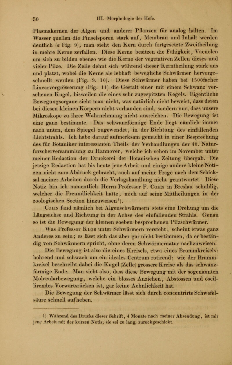 Plasmakernen der Algen und anderer Pflanzen für analog halten. Im Wasser quellen die Pinselsporen stark auf, Membran und Inhalt werden deutlich [a Fig. 9), man sieht den Kern durch fortgesetzte Zweitheilung in mehre Kerne zerfallen. Diese Kerne besitzen die Fähigkeit, Vacuolen um sich zu bilden ebenso wie die Kerne der vegetativen Zellen dieses und vieler Pilze. Die Zelle dehnt sich während dieser Kerntheilung stark aus und platzt, wobei die Kerne als lebhaft bewegliche Schwärmer hervorge- schnellt werden (Fig. 9. 10). Diese Schwärmer haben bei 1500facher Linearvergrösserung (Fig. 11) die Gestalt einer mit einem Schwanz ver- sehenen Kugel, bisweilen die eines sehr zugespitzten Kegels. Eigentliche I3ewegungsorgane sieht man nicht, was natürlich nicht beweist, dass deren bei diesen kleinen Körpern nicht vorhanden sind, sondern nur, dass unsere Mikroskope zu ihrer Wahrnehmung nicht ausreichen. Die Bewegung ist eine ganz bestimmte. Das schwanzförmige Ende liegt nämlich immer nach unten, dem Spiegel zugewendet, in der Richtung des einfallenden Lichtstrahls. Ich habe darauf aufmerksam gemacht in einer ]Besprechung des für Botaniker interessanten Theils der Verhandlungen der 40. Natur- forscherversammlung zu Hannover, welche ich schon im November unter meiner Redaction der Druckerei der Botanischen Zeitung übergab. Die jetzige Redaction hat bis heute jene Arbeit und einige andere kleine Noti- zen nicht zum Abdruck gebracht, auch auf meine Frage nach dem Schick- sal meiner Arbeiten durch die Verlagshandlung nicht geantwortet. Diese Notiz bin ich namentlich Herrn Professor F. Cohn in Breslau schuldig, welcher die Freundlichkeit hatte, mich auf seine Mittheilungen in der zoologischen Section hinzuweisen'). CüHN fand nämlich bei Algenschwärmern stets eine Drehung um die Längsachse und Richtung in der Achse des einfallenden Strahls. Genau so ist die Bewegung der kleinen soeben besprochenen Pilzschwärmer. Was Professor Klub unter Schwärmern versteht, scheint etwas ganz Anderes zu sein; es lässt sich das aber gar nicht bestimmen, da er bestän- dig von Schwärmern spricht, ohne deren Schwärmematur nachzuweisen. Die Bewegung ist also die eines Kreisels, etwa eines Brummkreisels: bohrend und schwach um ein ideales Centrum rotirend; wie der Brumm- kreisel beschreibt dabei die Kugel (Zelle) grössere Kreise als das schwanz- förmige Ende. Man sieht also, dass diese Bewegung mit der sogenannten Molecularbewegung, welche ein blosses Anziehen, Abstossen und oscil- lirendes Vorwärtsrücken ist, gar keine Aehnlichkeit hat. Die Bewegung der Schwärmer lässt sich durch concentrirte Schwefel- säure schnell aufheben. 1) Während des Drucks dieser Schrift, 4 Monate nach meiner Absendung, ist mir jene Arbeit mit der kurzen Notiz, sie sei zu lang, zurückgeschickt.
