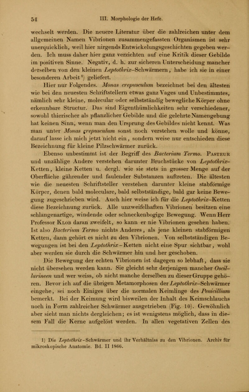 wechselt werden. Die neuere Literatur über die zahlreichen unter dem allgemeinen Namen Vibrionen zusammengefassten Organismen ist sehr unerquicklich, weil hier nirgends Entwickelungsgeschichten gegeben wer- den. Ich muss daher hier ganz verzichten auf eine Kritik dieser Gebilde im positiven Sinne. Negativ, d. h. zur sicheren Unterscheidung mancher derselben von den kleinen Leptothrix-Schwärmem, habe ich sie in einer besonderen Arbeit ^) geliefert. Hier nur Folgendes. Monas crepusculum bezeichnet bei den ältesten wie bei den neuesten Schriftstellern etwas ganz Vages und Unbestimmtes, nämlich sehr kleine, molecular oder selbstständig bewegliche Körper ohne erkennbare Structur. Das sind Eigenthümlichkeiten sehr verschiedener, sowohl thierischer als pflanzlicher Gebilde und die gelehrte Namengebung hat keinen Sinn, wenn man den Ursprung des Gebildes nicht kennt. Was man unter Monas Qrepusculum sonst noch verstehen wolle und könne, darauf lasse ich mich jetzt nicht ein, sondern weise nur entschieden diese Bezeichnung für kleine Pilzschwärmer zurück. Ebenso unbestimmt ist der Begriff des Bacterium Termo. Pasteur und unzählige Andere verstehen darunter Bruchstücke von Leptothrix- Ketten, kleine Ketten u. dergl. wie sie stets in grosser Menge auf der Oberfläche gährender und faulender Substanzen auftreten. Die ältesten wie die neuesten Schriftsteller verstehen darunter kleine stabförmige Körper, denen bald moleculare, bald selbstständige, bald gar keine Bewe- gung zugeschrieben wird. Auch hier weise ich für die Leptothrix-Ketten diese Bezeichnung zurück. Alle unzweifelhaften Vibrionen besitzen eine schlangenartige, windende oder schneckenbogige Bewegung. Wenn Herr Professor Klob daran zweifelt, so kann er nie Vibrionen gesehen haben. Ist also Bacterium Termo nichts Anderes, als jene kleinen stabförmigen Ketten, dann gehört es nicht zu den Vibrionen. Von selbstständigen Be- wegungen ist bei den Leptothrix - Ketten nicht eine Spur sichtbar, wohl aber werden sie durch die Schwärmer hin und her geschoben. Die Bewegung der echten Vibrionen ist dagegen so lebhaft, dass sie nicht übersehen werden kann. Sie gleicht sehr derjenigen mancher Oscil- larineen und wer weiss, ob nicht manche derselben zu dieser Gruppe gehö- ren. Bevor ich auf die übrigen Metamorphosen der X^^/j^o^Än^-Schwärmer eingehe, sei noch Einiges über die normalen Keimlinge des Penicillium bemerkt. Bei der Keimung wird bisweilen der Inhalt des Keimschlauchs noch in Form zahlreicher Schwärmer ausgetrieben (Fig. 10). Gewöhnlich aber sieht man nichts dergleichen; es ist wenigstens möglich, dass in die- sem Fall die Kerne aufgelöst werden. In allen vegetativen Zellen des 1) Die Z?;?^oMn:c - Schwärmer und ihr Verhältniss zu den Vibrionen. Archiv für mikroskopische Anatomie. Bd. II 1866.