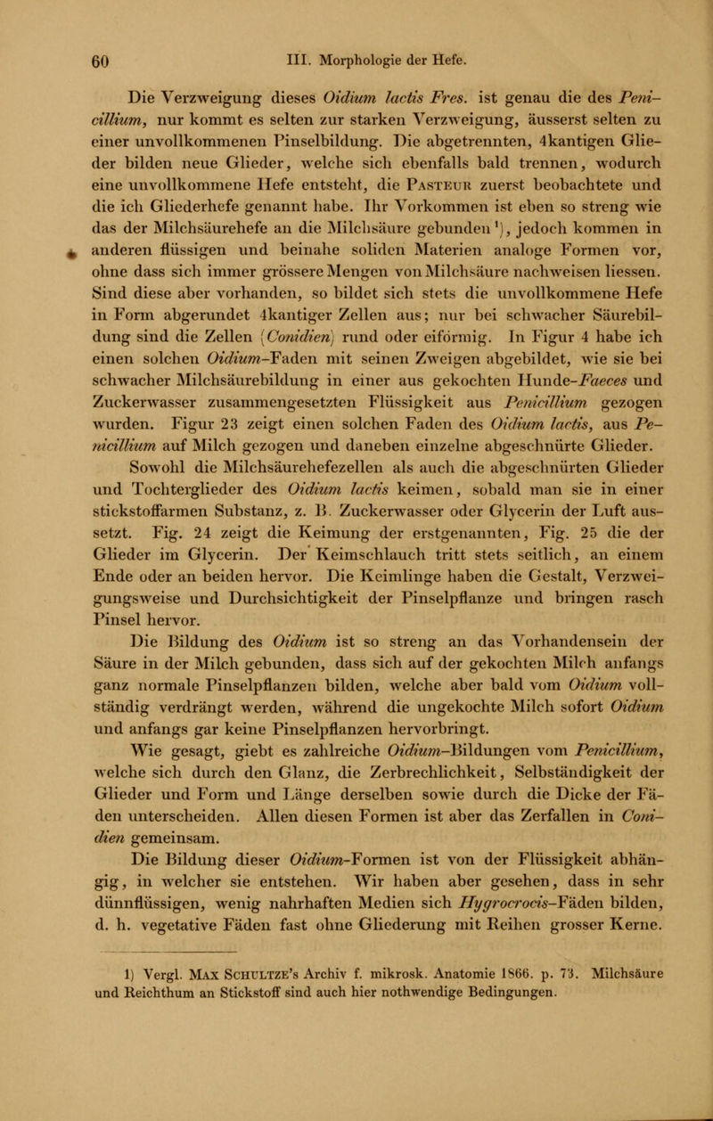 Die Verzweigung dieses Oidium lactis Fres. ist genau die des Peni- cillium, nur kommt es selten zur starken Verzweigung, äusserst selten zu einer unvollkommenen Pinselbildung. Die abgetrennten, 4kantigen Glie- der bilden neue Glieder, welche sich ebenfalls bald trennen, wodurch eine unvollkommene Hefe entsteht, die Pasteur zuerst beobachtete und die ich Gliederhefe genannt habe. Ihr Vorkommen ist eben so streng wie das der Milchsäurehefe an die Milchsäure gebunden'), jedoch kommen in anderen flüssigen und beinahe soliden Materien analoge Formen vor, ohne dass sich immer grössere Mengen von Milchsäure nachweisen Hessen. Sind diese aber vorhanden, so bildet sich stets die unvollkommene Hefe in Form abgerundet 4kantiger Zellen aus; nur bei schwacher Säurebil- dung sind die Zellen [Conidien] rund oder eiförmig. In Figur 4 habe ich einen solchen O^W^^^m-Faden mit seinen Zweigen abgebildet, wie sie bei schwacher Milchsäurebildung in einer aus gekochten Hunde-Äece* und Zuckerwasser zusammengesetzten Flüssigkeit aus Penidllium gezogen wurden. Figur 23 zeigt einen solchen Faden des Oidium lactis, aus Pe- nidllium auf Milch gezogen und daneben einzelne abgeschnürte Glieder. Sowohl die Milchsäurehefezellen als auch die abgeschnürten Glieder und Tochterglieder des Oidium lactis keimen, sobald man sie in einer stickstoffarmen Substanz, z. B. Zuckerwasser oder Glycerin der Luft aus- setzt. Fig. 24 zeigt die Keimung der erstgenannten, Fig. 25 die der Glieder im Glycerin. Der Keimschlauch tritt stets seitlich, an einem Ende oder an beiden hervor. Die Keimlinge haben die Gestalt, Verzwei- gungsweise und Durchsichtigkeit der Pinselpflanze und bringen rasch Pinsel hervor. Die Bildung des Oidium ist so streng an das Vorhandensein der Säure in der Milch gebunden, dass sich auf der gekochten Milch anfangs ganz normale Pinselpflanzen bilden, welche aber bald vom Oidium voll- ständig verdrängt werden, während die ungekochte Milch sofort Oidium und anfangs gar keine Pinselpflanzen hervorbringt. Wie gesagt, giebt es zahlreiche 02c^mm-Bildungen vom Penidllium ^ welche sich durch den Glanz, die Zerbrechlichkeit, Selbständigkeit der Glieder und Form und Länge derselben sowie durch die Dicke der Fä- den unterscheiden. Allen diesen Formen ist aber das Zerfallen in Coni- dien gemeinsam. Die Bildung dieser Oidium-¥ona%n ist von der Flüssigkeit abhän- gig, in welcher sie entstehen. Wir haben aber gesehen, dass in sehr dünnflüssigen, wenig nahrhaften Medien sich Hygrocrods-F?idie\i bilden, d. h. vegetative Fäden fast ohne Gliederung mit Reihen grosser Kerne. 1) Vergl. Max Schultze's Archiv f. mikrosk. Anatomie 1866. p. 73. Milchsäure und Reichthum an Stickstoff sind auch hier nothwendige Bedingungen.