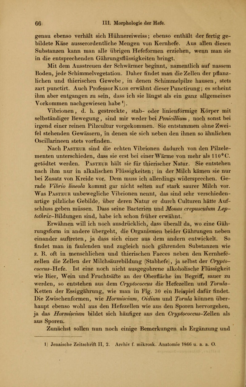 genau ebenso verhält sich Hühnereiweiss; ebenso enthält der fertig ge- bildete Käse ausserordentliche Mengen von Kernhefe. Aus allen diesen Substanzen kann man alle übrigen Hefeformen erziehen, wenn man sie in die entsprechenden Gährungsflüssigkeiten bringt. Mit dem Ausstreuen der Schwärmer beginnt, namentlich auf nassem Boden, jede Schimmelvegetation. Daher findet man die Zellen der pflanz- lichen und thierischen Gewebe, in denen Schimmelpilze hausen, stets zart punctirt. Auch Professor Klob erwähnt dieser Punctirung; es scheint ihm aber entgangen zu sein, dass ich sie längst als ein ganz allgemeines Vorkommen nachgewiesen habe *). Vibrionen, d. h. gestreckte, Stab- oder linienförmige Köi-per mit selbständiger Bewegung, sind mir weder bei Penicillium, noch sonst bei irgend einer reinen Pilzcultur vorgekommen. Sie entstammen ohne Zwei- fel stehenden Gewässern, in denen sie sich neben den ihnen so ähnlichen Oscillarineen stets vorfinden. Nach Pasteur sind die echten Vibrionen dadurch von den Pilzele- menten unterschieden, dass sie erst bei einer Wärme von mehr als 110C. getödtet werden. Pasteur hält sie für thierischer Natur. Sie entstehen nach ihm nur in alkalischen Flüssigkeiten; in der Milch kämen sie nur bei Zusatz von Kreide vor. Dem muss ich allerdings widersprechen. Ge- rade Vibrio lineola kommt gar nicht selten auf stark saurer Milch vor. Was Pasteur unbewegliche Vibrionen nennt, das sind sehr verschieden- artige pilzliche Gebilde^ über deren Natur er durch Culturen hätte Auf- schluss geben müssen. Dass seine Bacterien und Monas crepusculum Lep- ^i?/m:r-Bildungen sind, habe ich schon früher erwähnt. Erwähnen will ich noch ausdrücklich, dass überall da, wo eine Gäh- rungsform in andere übergeht, die Organismen beider Gährungen neben einander auftreten, ja dass sich einer aus dem andern entwickelt. So findet man in faulenden und zugleich noch gährenden Substanzen wie z. B. oft in menschlichen und thierischen Faeces neben den Kernhefe- zellen die Zellen der Milchsäurebildung (Stabhefe), ja selbst der Crypto- coccus-Heie. Ist eine noch nicht ausgegohrene alkoholische Flüssigkeit wie Bier, Wein und Fruchtsäfte an der Oberfläche im Begrifi, sauer zu werden, so entstehen aus dem Cryptococcus die Hefezellen und Torula- Ketten der Essiggährung, wie man in Fig. 30 ein Beispiel dafür findet. Die Zwischenformen, wie Hormisdum, Oidium und Torula können über- haupt ebenso wohl aus den Hefezellen wie aus den Sporen hervorgehen, ja das Hormisdum bildet sich häufiger aus den Cryptococcus-lL^'^w. als aus Sporen. Zunächst sollen nun noch einige Bemerkungen als Ergänzung und 1) Jenaische Zeitschrift II, 2. Archiv f. mikrosk. Anatomie 1866 u. a. a. O.