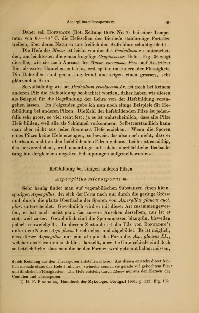 Aspergillus microsporus m. ß9 Daher sah Hoffmann (Bot. Zeitung 186'>. Nr. 7) bei einer Tempe- ratur von 60—70^ C. die Hefezellen der Bierhefe stabförmige Fortsätze treiben, über deren Natur er uns freilich den Aufschluss schuldig bleibt. Die Hefe des Mucor ist leicht von der des Penicillium zu unterschei- den, am leichtesten die genau kugelige Cryptococcus-Hefe. Fig. 36 zeigt dieselbe, wie sie nach Aussaat des Mucor racemosus Fr es. auf Köstritzer Bier als zartes Häutchen entsteht, erst später im Innern der Flüssigkeit. Die Hefezellen sind genau kugelrund und zeigen einen grossen, sehr glänzenden Kern. So vollständig wie bei Penicillium crustaceum Fr, ist noch bei keinem anderen Pilz die Hefebildung beobachtet worden, daher haben wir diesen als Beispiel für die Begründung der Lehre von der Hefebildung voran- gehen lassen. Im Folgenden gebe ich nun noch einige Beispiele für He- febildung bei anderen Pilzen. Die Zahl der hefebildenden Pilze ist jeden- falls sehr gross, so viel steht fest; ja es ist wahrscheinlich, dass alle Pilze Hefe bilden, weil alle als Schimmel vorkommen. Selbstverständlich kann man aber nicht aus jeder Sporenart Hefe erziehen. Wenn die Sporen eines Pilzes keine Hefe erzeugen, so beweist das also noch nicht, dass er überhaupt nicht zu den hefebildenden Pilzen gehöre. Leider ist es nöthig, das hervorzuheben, weil neuerdings auf solche oberflächliche Beobach- tung hin dergleichen negative Behauptungen aufgestellt worden. Hefebildung bei einigen anderen Pilzen. Aspergillus microsporus m. Sehr häufig findet man auf vegetabilischen Substanzen einen klein- sporigen Aspergillus, der sich der Form nach nur durch die geringe Grösse und durch die glatte Oberfläche der Sporen von Aspergillus glaucus auct. plur. unterscheidet. Gewöhnlich wird er mit dieser Art zusammengewor- fen, er hat auch meist ganz das äussere Ansehen derselben, nur ist er stets^ weit zarter. Gewöhnlich sind die Sporenmassen blaugrün, bisweilen jedoch schwefelgelb. In diesem Zustande ist der Pilz von Bonorden *) unter dem Namen Asp. flavus beschrieben und abgebildet. Es ist möglich, dass dieser Aspergillus nur eine atrophische Form des Asp. glaucus Lk., welcher das Eurotium ausbildet, darstellt, aber die Unterschiede sind doch so beträchtliche, dass man die beiden Formen wird getrennt halten müssen. durch Keimung aus den Thecasporen entstehen müsse. Aus diesen entsteht direct frei- lich niemals etwas der Hefe ähnliches, vielmehr keimen sie gerade auf gekochtem Bier^ und ähnlichen Flüssigkeiten. Die Hefe entsteht durch Mucor nur aus den Kernen der Conidien und Thecasporen.