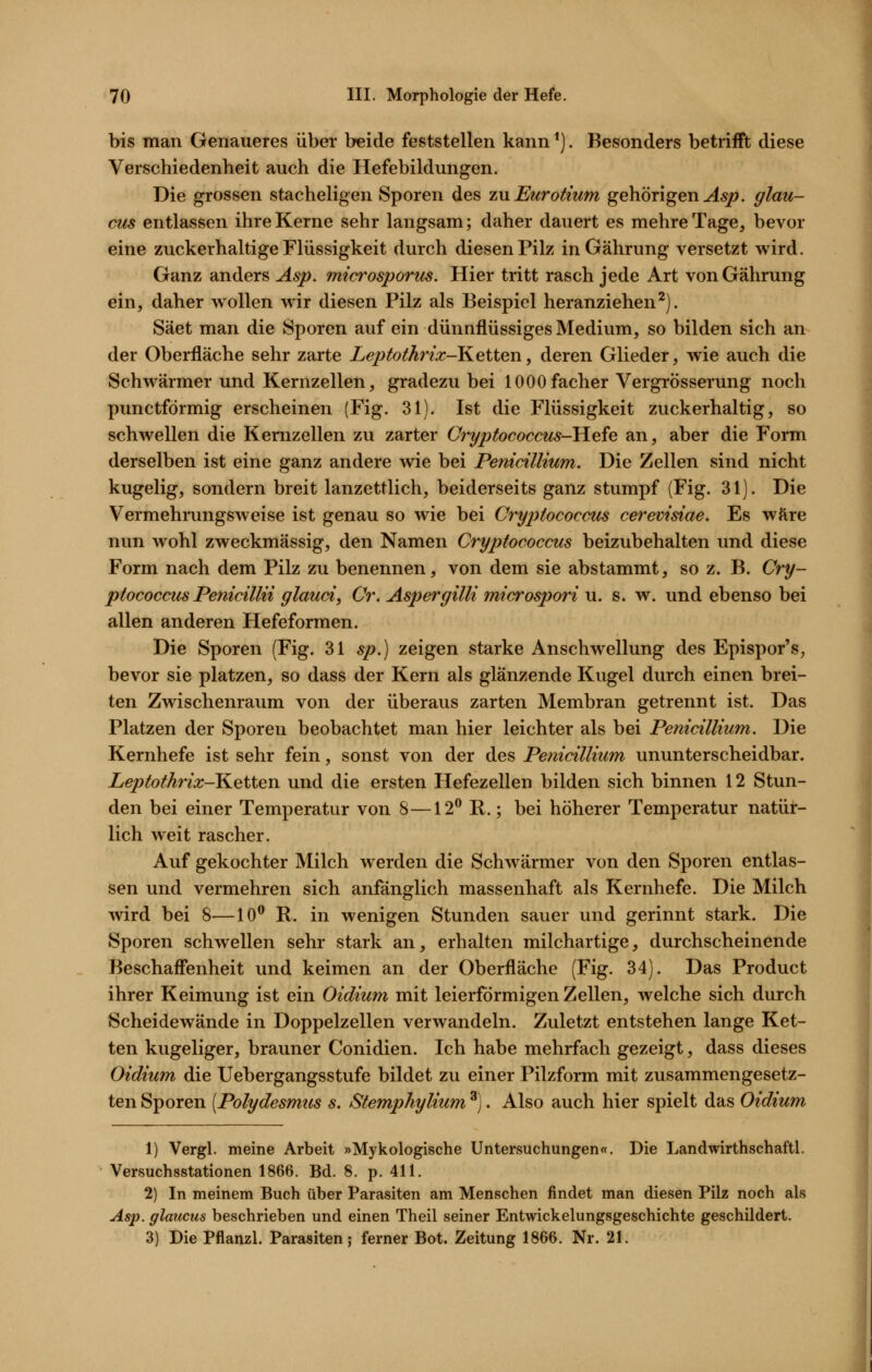 bis man Genaueres über beide feststellen kann *). Besonders betrifft diese Verschiedenheit auch die Hefebildungen. Die grossen stacheligen Sporen des zu. Eurotium gehörigen ^5^. glau- cus entlassen ihre Kerne sehr langsam; daher dauert es mehre Tage, bevor eine zuckerhaltige Flüssigkeit durch diesen Pilz inGährung versetzt wird. Ganz anders Asp. microsporus. Hier tritt rasch jede Art vonGährung ein, daher wollen wir diesen Pilz als Beispiel heranziehen^). Säet man die Sporen auf ein dünnflüssiges Medium, so bilden sich an der Oberfläche sehr zarte Leptothrix-KeitQn, deren Glieder, wie auch die Schwärmer und Kernzellen, gradezu bei lOOOfacher Vergrösserung noch punctförmig erscheinen (Fig. 31). Ist die Flüssigkeit zuckerhaltig, so schwellen die Kernzellen zu zarter Cryptococctcs-Hefe an, aber die Form derselben ist eine ganz andere wie bei Penicillium. Die Zellen sind nicht kugelig, sondern breit lanzettlich, beiderseits ganz stumpf (Fig. 31). Die Vermehrungsweise ist genau so wie bei Cryptococcus cerevisiae. Es wäre nun wohl zweckmässig, den Namen Cryptococcus beizubehalten und diese Form nach dem Pilz zu benennen, von dem sie abstammt, so z. B. Cry- ptococcus Penicülii glauci, Cr, Aspergilli microspori u. s. w. und ebenso bei allen anderen Hefeformen. Die Sporen (Fig. 31 sp.) zeigen starke Anschwellung des Epispor's, bevor sie platzen, so dass der Kern als glänzende Kugel durch einen brei- ten Zwischenraum von der überaus zarten Membran getrennt ist. Das Platzen der Sporen beobachtet man hier leichter als bei Penicillium. Die Kernhefe ist sehr fein, sonst von der des Penicillitim ununterscheidbar. Leptothrix-Ketten und die ersten Hefezellen bilden sich binnen 12 Stun- den bei einer Temperatur von 8—12^ R.; bei höherer Temperatur natür- lich weit rascher. Auf gekochter Milch werden die Schwärmer von den Sporen entlas- sen und vermehren sich anfänglich massenhaft als Kernhefe. Die Milch wird bei 8—10^ R. in wenigen Stunden sauer und gerinnt stark. Die Sporen schwellen sehr stark an, erhalten milchartige, durchscheinende Beschaffenheit und keimen an der Oberfläche (Fig. 34). Das Product ihrer Keimung ist ein Oidium mit leierförmigen Zellen, welche sich durch Scheidewände in Doppelzellen verwandeln. Zuletzt entstehen lange Ket- ten kugeliger, brauner Conidien. Ich habe mehrfach gezeigt, dass dieses Oidium die Uebergangsstufe bildet zu einer Pilzform mit zusammengesetz- ten Sporen [Polydesmtcs s. Stemphylium ^]. Also auch hier spielt das Oidium 1) Vergl. meine Arbeit »Mykologische Untersuchungen«. Die Landwirthschaftl. Versuchsstationen 1866. Bd. 8. p. 411. 2) In meinem Buch über Parasiten am Menschen findet man diesen Pilz noch als Asp.glmicus beschrieben und einen Theil seiner Entwickelungsgeschichte geschildert. 3) Die Pflanzl. Parasiten; ferner Bot. Zeitung 1866. Nr. 21.