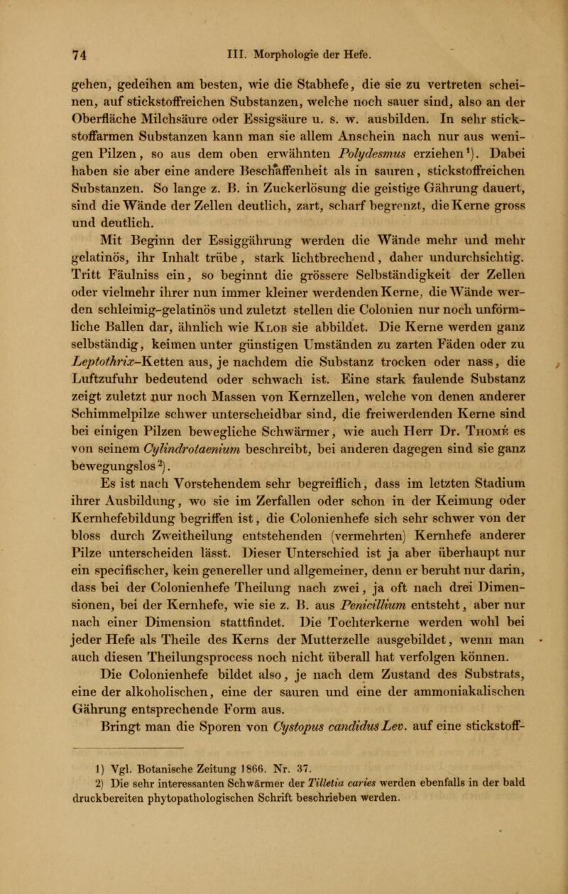 gehen, gedeihen am besten, wie die Stabhefe, die sie zu vertreten schei- nen, auf stickstoffreichen Substanzen, welche noch sauer sind, also an der Oberfläche Milchsäure oder Essigsäure u. s. w. ausbilden. In sehr stick- stoffarmen Substanzen kann man sie allem Anschein nach nur aus weni- gen Pilzen, so aus dem oben erwähnten Polydesmus erziehen *). Dabei haben sie aber eine andere Besch*affenheit als in sauren, stickstoffreichen Substanzen. So lange z. B. in Zuckerlösung die geistige Gährung dauert, sind die Wände der Zellen deutlich, zart, scharf begrenzt, die Kerne gross und deutlich. Mit Beginn der Essiggährung werden die Wände mehr und mehr gelatinös, ihr Inhalt trübe, stark lichtbrechend, daher undurchsichtig. Tritt Fäulniss ein, so beginnt die grössere Selbständigkeit der Zellen oder vielmehr ihrer nun immer kleiner werdenden Kerne^ die Wände wer- den schleimig-gelatinös und zuletzt stellen die Colonien nur noch unförm- liche Ballen dar, ähnlich wie Klob sie abbildet. Die Kerne werden ganz selbständig, keimen unter günstigen Umständen zu zarten Fäden oder zu Ze^^o^Än:r-Ketten aus, je nachdem die Substanz trocken oder nass, die Luftzufuhr bedeutend oder schwach ist. Eine stark faulende Substanz zeigt zuletzt nur noch Massen von Kernzellen, Avelche von denen anderer Schimmelpilze schwer unterscheidbar sind, die freiwerdenden Kerne sind bei einigen Pilzen bewegliche Schwärmer, wie auch Herr Dr. Thome es von seinem Cylindrotaenium beschreibt, bei anderen dagegen sind sie ganz bewegungslos ^J. Es ist nach Vorstehendem sehr begreiflich, dass im letzten Stadium ihrer Ausbildung, wo sie im Zerfallen oder schon in der Keimung oder Kernhefebildung begriffen ist, die Colonienhefe sich sehr schwer von der bloss durch Zweitheilung entstehenden (vermehrten) Kernhefe anderer Pilze unterscheiden lässt. Dieser Unterschied ist ja aber überhaupt nur ein specifischer, kein genereller und allgemeiner, denn er beruht nur darin, dass bei der Colonienhefe Theilung nach zwei, ja oft nach drei Dimen- sionen, bei der Kernhefe, wie sie z. B. aus Penicillium entsteht, aber nur nach einer Dimension stattfindet. Die Tochterkeme werden wohl bei jeder Hefe als Theile des Kerns der Mutterzelle ausgebildet, wenn man auch diesen Theilungsprocess noch nicht überall hat verfolgen können. Die Colonienhefe bildet also, je nach dem Zustand des Substrats, eine der alkoholischen, eine der sauren und eine der ammoniakalischen Gährung entsprechende Form aus. Bringt man die Sporen von Cystopus candidmLev. auf eine stickstoff- 1) Vgl. Botanische Zeitung 1866. Nr. 37. 2) Die sehr interessanten Schwärmer der Tilleiia caries werden ebenfalls in der bald druckbereiten phytopathologischen Schrift beschrieben werden.