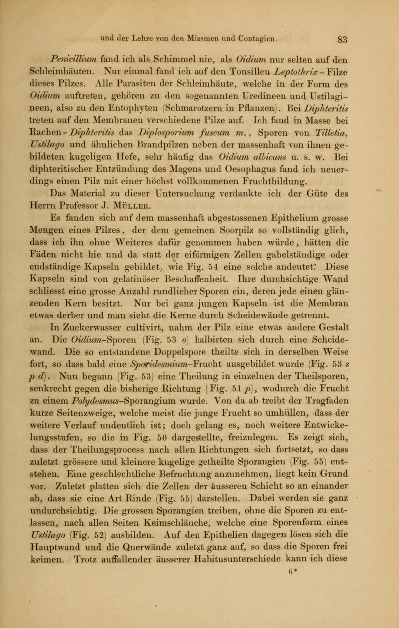 PenicilUum fand ich als Schimmel nie, als Oidium nur selten auf den Schleimhäuten. Nur einmal fand ich auf den Tonsillen Leptothrix - Filze dieses Pilzes. Alle Parasiten der Schleimhäute, welche in der Form des Oidium auftreten, gehören zu den sogenannten Uredineen und Lstilagi- neen, also zu den Entophyten (Schmarotzern in Pflanzen). Bei Dipliteritis treten auf den Membranen verschiedene Pilze auf. Ich fand in Masse bei Rachen -/>^}?Ä/m^^5 das Diplosporium fuscum m., Sporen von Tilletia, TJstilago und ähnlichen ]h-andpilzen neben der massenhaft von ihnen ge- bildeten kugeligen Hefe, sehi* häufig das Oidium albicans u. s. w. Bei diphteritischer Entzündung des Magens und Oesophagus fand ich neuer- dings einen Pilz mit einer höchst vollkommenen Fruchtbildung. Das Material zu dieser Untersuchung verdankte ich der Güte des Herrn Professor J. Müller. Es fanden sich auf dem massenhaft abgestossenen Epithelium grosse Mengen eines Pilzes, der dem gemeinen Soorpilz so vollständig glich, dass ich ihn ohne Weiteres dafür genommen haben würde, hätten die Fäden nicht hie und da statt der eiförmigen Zellen gabelständige oder endständige Kapseln gebildet; wie Fig. 54 eine solche andeutet: Diese Kapseln sind von gelatinöser Beschaffenheit. Ihre durchsichtige Wand schliesst eine grosse Anzahl rundlicher Sporen ein, deren jede einen glän- zenden Kern besitzt. Nur bei ganz jungen Kapseln ist die Membran etwas derber und man sieht die Kerne durch Scheidewände getrennt. In Zuckerwasser cultivirt, nahm der Pilz eine etwas andere Gestalt an. Die Oe'Äm-Sporen (Fig. 53 o] halbirten sich durch eine Scheide- wand. Die so entstandene Doppelspore theilte sich in derselben Weise fort, so dass bald eine Sporidesmium-YxViQkii ausgebildet wurde (Fig. 53 ä p d). Nun begann (Fig. 53) eine Theilung in einzelnen der Theilsporen, senkrecht gegen die bisherige Richtung (Fig. ^l p), wodurch die Frucht zu einem Polydesmus-S'poY^.ngmm. wurde. Von da ab treibt der Tragfaden kurze Seitenzweige, welche meist die junge Frucht so umhüllen, dass der weitere Verlauf undeutlich ist; doch gelang es, noch weitere Entwicke- lungsstufen, so die in Fig. 50 dargestellte, freizulegen. Es zeigt sich, dass der Theilungsprocess nach allen Richtungen sich fortsetzt, so dass zuletzt grössere und kleinere kugelige getheilte Sporangien (Fig. 55) ent- stehen. Eine geschlechtliche Befruchtung anzunehmen, liegt kein Grund vor. Zuletzt platten sich die Zellen der äusseren Schicht so an einander ab, dass sie eine Art Rinde (Fig. 55) darstellen. Dabei werden sie ganz undurchsichtig. Die grossen Sporangien treiben, ohne die Sporen zu ent- lassen, nach allen Seiten Keimschläuche, welche eine Sporenform eines Ustilago (Fig. 52) ausbilden. Auf den Epithelien dagegen lösen sich die Hauptwand und die Querwände zuletzt ganz auf, so dass die Sporen frei keimen. Trotz auffallender äusserer Habitusunterschiede kann ich diese 6*