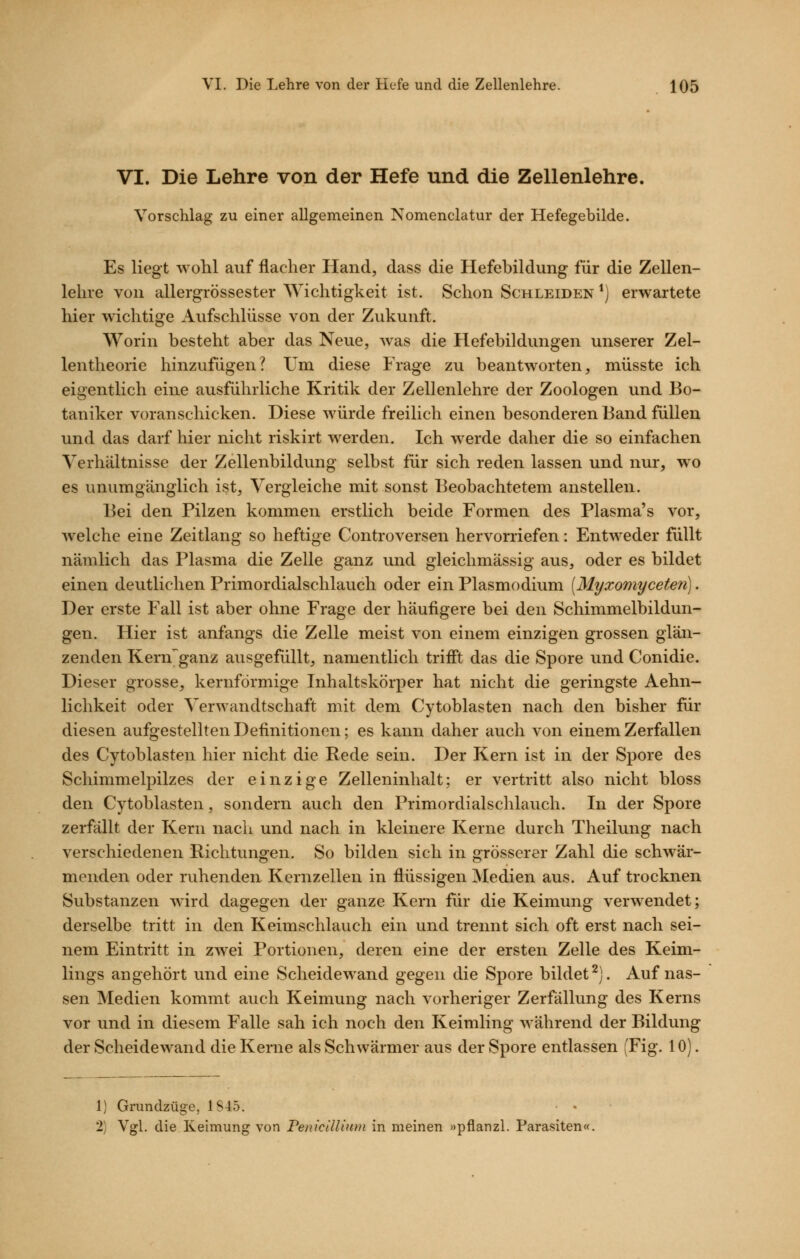 VI. Die Lehre von der Hefe und die Zellenlehre. Vorschlag zu einer allgemeinen Nomenclatur der Hefegebilde. Es liegt wohl auf flacher Hand, dass die Hefebildung für die Zellen- lehre von allergrössester Wichtigkeit ist. Schon Schleiden *) erwartete hier wichtige Aufschlüsse von der Zukunft. Worin besteht aber das Neue, was die Hefebildungen unserer Zel- len theorie hinzufügen? Um diese Frage zu beantworten, müsste ich eigentlich eine ausführliche Kritik der Zellenlehre der Zoologen und Bo- taniker voranschicken. Diese würde freilich einen besonderen Band füllen und das darf hier nicht riskirt werden. Ich werde daher die so einfachen Verhältnisse der Zellenbildung selbst für sich reden lassen und nur, wo es unumgänglich ist, Vergleiche mit sonst Beobachtetem anstellen. Bei den Pilzen kommen erstlich beide Formen des Plasma's vor, welche eine Zeitlang so heftige Controversen hervorriefen: Entweder füllt nämlich das Plasma die Zelle ganz und gleichmässig aus, oder es bildet einen deutlichen Primordialschlauch oder ein Plasmodium [Myxomyceten]. Der erste Fall ist aber ohne Frage der häufigere bei den Schimmelbildun- gen. Hier ist anfangs die Zelle meist von einem einzigen grossen glän- zenden Kern^ganz ausgefüllt, namentlich trifil das die Spore und Conidie. Dieser grosse, kernförmige Inhaltskörper hat nicht die geringste Aehn- lichkeit oder Verwandtschaft mit dem Cytoblasten nach den bisher für diesen aufgestellten Definitionen; es kann daher auch von einem Zerfallen des Cytoblasten hier nicht die Rede sein. Der Kern ist in der Spore des Schimmelpilzes der einzige Zelleninhalt; er vertritt also nicht bloss den Cytoblasten, sondern auch den Primordialschlauch. In der Spore zerfällt der Kern nach und nach in kleinere Kerne durch Theilung nach verschiedenen Richtungen. So bilden sich in grösserer Zahl die schwär- menden oder ruhenden Kernzellen in flüssigen Medien aus. Auf trocknen Substanzen wird dagegen der ganze Kern für die Keimung verwendet; derselbe tritt in den Keimschlauch ein und trennt sich oft erst nach sei- nem Eintritt in zwei Portionen, deren eine der ersten Zelle des Keim- lings angehört und eine Scheidewand gegen die Spore bildet^). Auf nas- sen Medien kommt auch Keimung nach vorheriger Zerfällung des Kerns vor und in diesem Falle sah ich noch den Keimling während der Bildung der Scheidewand die Kerne als Schwärmer aus der Spore entlassen (Fig. 10). 1) Grundzüse. iS45. o^ 2) Vgl. die Keimung von Penicillium in meinen »pflanzl. Parasiten«.