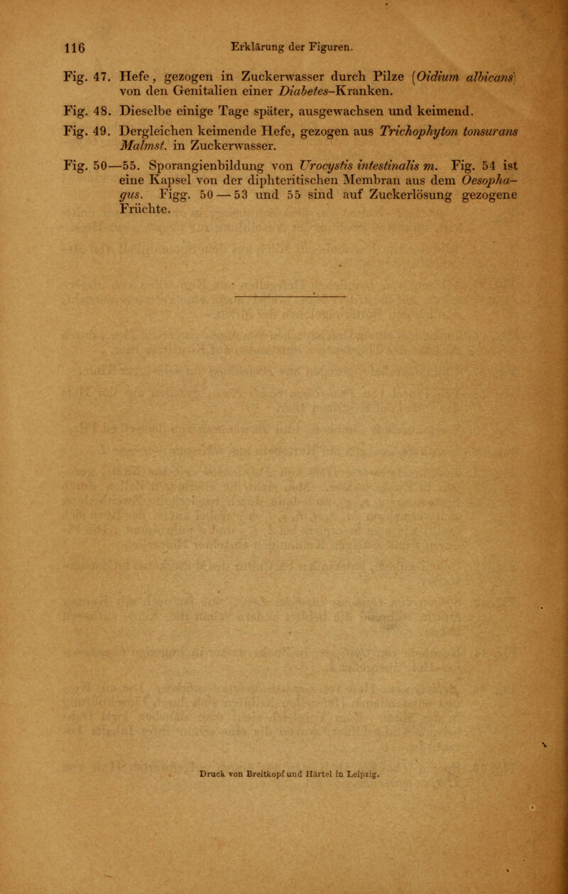 Fig. 47. Hefe, gezogen in Zuckerwasser durch Pilze [Oidimn albicans) von den Genitalien einer Diahetes-Kv^nV^en. Fig. 48. Dieselbe einige Tage später, ausgewachsen und keimend. Fig. 49. Dergleichen keimende Hefe, gezogen aus Trichophyton ionsura'ns Malmst, in Zuckerwasser. Fig. 50—55. Sporangienbildung von Urocystis intestinalis m. Fig. 54 ist eine Kapsel von der diphteritischen Membran aus dem Oesopha- gus. Figg. 50 — 53 und 55 sind auf Zuckerlösung gezogene Früchte. Druck von Breitkopf und Härtel in Leipzig.