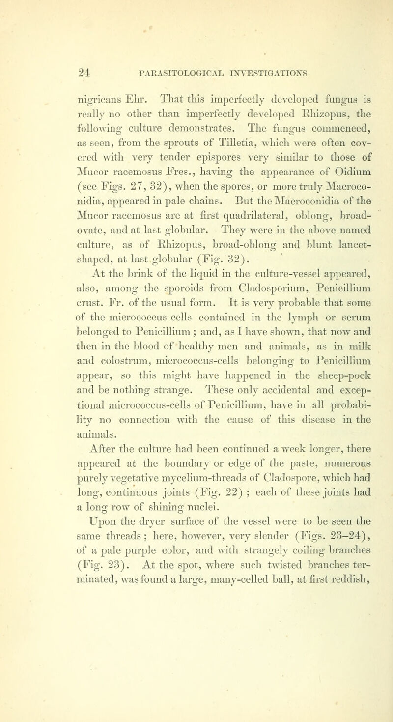 nigricans Ehr. That tliis imperfectly developed fungus is really no other than imperfectly developed Ehizopus, the followinor culture demonstrates. The funjnis commenced, as seen, from the sprouts of Tilletia, which were often cov- ered with very tender epispores very similar to those of Mucor racemosus Fres., having the appearance of Oidium (see Figs. 27, 32), when the spores, or more truly Macroco- nidia, appeared in pale chains. But the Macroconidia of the Mucor racemosus are at first quadrilateral, oblong, broad- ovate, and at last globular. They were in the above named culture, as of Rliizopus, broad-oblong and blunt lancet- shai^cd, at last.globular (Fig. 32). At the brink of the liquid in the culture-vessel appeared, also, among the sporoids from Cladosporium, Penicillium crust. Fr. of the nsual form. It is very probable that some of the micrococcus cells contained in the lymph or serum belonged to Penicillium ; and, as I have shown, that now and then in the blood of healthy men and animals, as in milk and colostrum, micrococcus-cells belonging to Penicillium appear, so this might have happened in the sheep-pock and be nothing strange. These only accidental and excep- tional micrococcus-cells of Penicillium, have in all probabi- lity no connection mth the cause of this disease in the animals. After the culture had been continued a week longer, there appeared at the boundary or edge of the paste, numerous purely vegetative mycelium-threads of Cladospore, which had long, continuous joints (Fig. 22) ; each of these joints had a Ions; row of shinino; nuclei. Upon the dryer surface of the vessel were to be seen the same threads; here, however, very slender (Figs. 23-24), of a pale purple color, and with strangely coiling branches (Fig. 23). At the spot, where such twisted branches ter- minated, was found a large, many-celled ball, at first reddish.