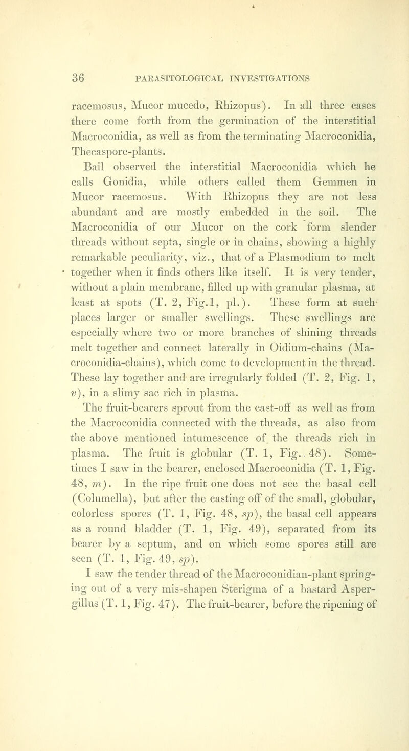 racemosus, Mucor mucedo, Rhizopiis). In all three cases there come forth from the germination of the interstitial Macroconidia, as well as from the terminating Macroconidia, Thecaspore-plants. Bail observed the interstitial Macroconidia which he calls Gonidia, while others called them Gemmen in Mucor racemosus. With Rhizopus they are not less abundant and are mostly embedded in the soil. The Macroconidia of our Mucor on the cork form slender threads without septa, single or in chains, showing a highly remarkable peculiarity, viz., that of a Plasmodium to melt together when it finds others like itself. It is very tender, without a plain membrane, filled up with granular plasma, at least at sjjots (T. 2, Fig.l, pi.). These form at such- 23laces larger or smaller swellings. These swellings are especially where two or more branches of shining threads melt together and connect laterally in Oidium-chains (Ma- croconidia-chains), which come to development in the thread. These lay together and are irregularly folded (T. 2, Fig. 1, v), in a slimy sac rich in plasma. The fruit-bearers sprout from the cast-oflf as well as from the Macroconidia connected with the threads, as also from the above mentioned intumescence of the threads rich in plasma. The fruit is globular (T. 1, Fig. .48). Some- times I saw in the bearer, enclosed Macroconidia (T. 1, Fig. 48, m). In the ripe fruit one does not see the basal cell (Columella), but after the casting off of the small, globular, colorless spores (T. 1, Fig. 48, sj?), the basal cell appears as a round bladder (T. 1, Fig. 49), separated from its bearer by a septum, and on which some spores still are seen (T. 1, Fig. 49, sp). I saw the tender thread of the Macroconidian-plant spring- ing out of a very mis-shapen Sterigma of a bastard Asper- gillus (T. 1, Fig. 47). The fruit-bearer, before the ripening of