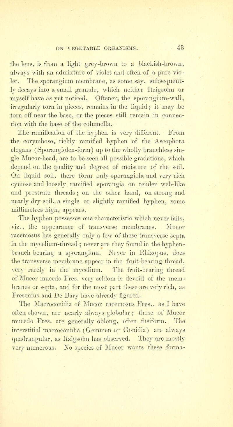 the lens, is from a light grey-brown to a blackish-brown, always with an adniLsture of violet and often of a pure vio- let. The sporangium membrane, as some say, subsequent- ly decays into a small granule, which neither Itzigsohn or myself have as yet noticed. Oftener, the sporangium-wall, irregularly torn in pieces, remains in the liquid; it may be torn off near the base, or the pieces still remain in connec- tion with the base of the columella. The ramification of the hyphen is very different. From the corymbose, richly ramified hyphen of the Ascophora elegans (Sporangiolen-form) up to the wholly branchless sin- gle jNIucor-head, are to be seen all possible gradations, which depend on the quality and degree of moisture of the soil. On liquid soil, there form only sporangiola and very rich cymose and loosely ramified sporangia on tender web-like and prostrate threads ; on the other hand, on strong and nearly dry soil, a single or slightly ramified hyphen, some millimetres high, appears. The hyphen possesses one characteristic which never fails, viz., the appearance of transverse membranes. Mucor racemosus has generally only a few of these transverse septa in the mycelium-thread ; never are they found in the hyphen- branch bearing a sporangium. Xever in Rhizopus, does the transverse membrane appear in the fruit-bearing thread, very rarely in the mycelium. The fruit-bearing thread of Mucor mucedo Fres. very seldom is devoid of the mem- branes or septa, and for the most part these are very rich, as Fresenius and De Bary have already figured. The Macroconidia of Mucor racemosus Fres., as I have often shown, are nearly always globular; those of Mucor mucedo Fres. are generally oblong, often fusiform. The interstitial macroconidia (Gemmen or Gonidia) are always quadrangular, as Itzigsohn has observed. They are mostly very numerous. No species of Mucor wants these forma-