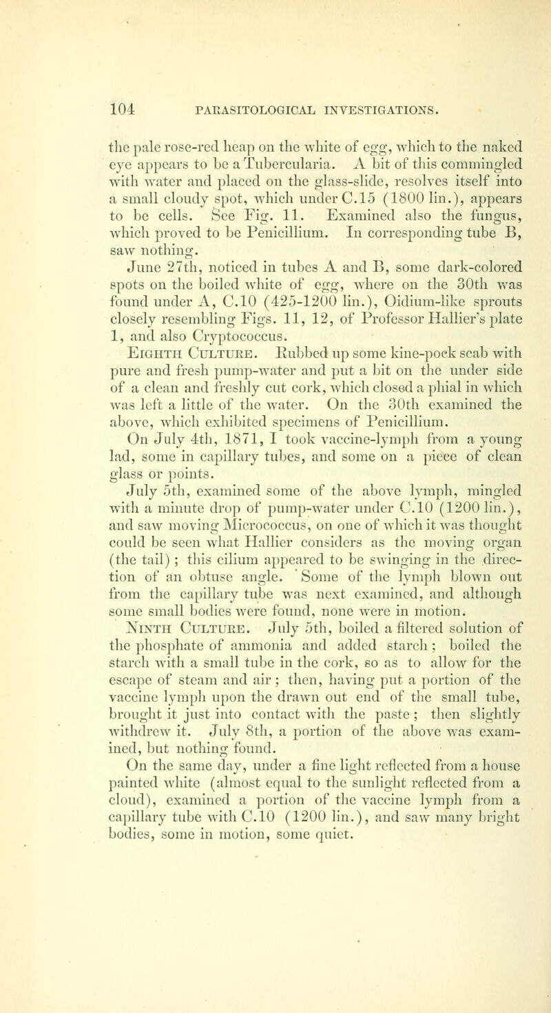 the pale rose-red heap on the white of egg, which to the naked eye appears to be a Tubercularia. A bit of this commingled with water and placed on the glass-slide, resolves itself into a small cloudy spot, which under C.15 (1800 lin.), appears to be cells. See Fig. 11. Examined also the fungus, which proved to be Penicillium. In corresponding tube B, saw nothing. June 27th, noticed in tubes A and B, some dark-colored spots on the boiled white of egg, where on the 30th was found under A, CIO (425-1200 Hn.), Oidium-like sprouts closely resembling Figs. 11, 12, of Professor Hallier's plate 1, and also Cryptococcus. Eighth Culture. Rubbed up some kine-poek scab with pure and fresh pump-water and put a bit on the under side of a clean and freslily cut cork, which closed a phial in which was left a little of the water. On the 30th examined the above, which exhibited specimens of Penicillium. On July 4th, 1871, I took vaccine-lymph from a young lad, some in capillary tubes, and some on a piece of clean glass or points. July 5th, examined some of the above hanph, mingled with a minute drop of pump-water under CIO (1200 lin.), and saw moving Micrococcus, on one of which it was thought could be seen what Hallier considers as the moving organ (the tail); this cilium appeared to be swinging in the direc- tion of an obtuse angle. Some of the lymph blown out from the capillary tube was next examined, and although some small bodies were found, none were in motion. Ninth Culture. July 5th, boiled a filtered solution of the phosphate of ammonia and added starch; boiled the starch with a small tube in the cork, so as to allow for the escape of steam and air; then, having put a portion of the vaccine lymph upon the drawn out end of the small tube, brought it just into contact with the paste ; then slightly withdrew it. July 8th, a portion of the above was exam- ined, but nothing found. On the same day, under a fine light reflected from a house painted white (almost equal to the sunlight reflected from a cloud), examined a portion of the vaccine lymph from a capillary tube wuth CIO (1200 lin.), and saw many bright bodies, some in motion, some quiet.