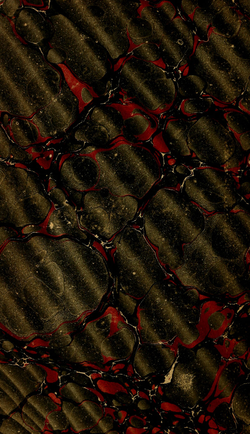 %-m ., ■ '' ■ ' imf^ '^■^^\. ^AV :^:'^ 'S^,, # sf,' -A