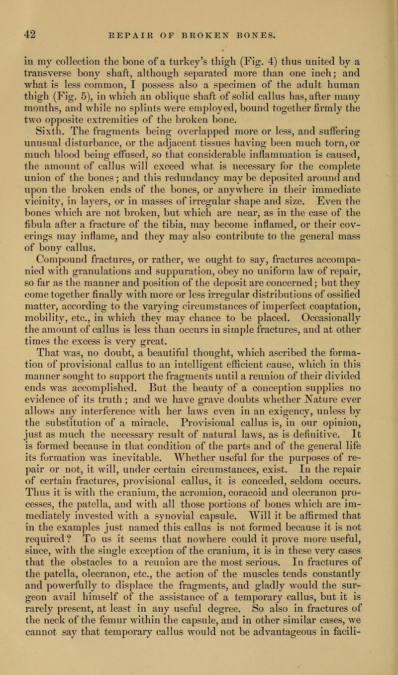 in my collection the bone of a turkey's thigh (Fig. 4) thus united by a transverse bony shaft, although separated more than one inch; and what is less common, I possess also a specimen of the adult human thigh (Fig. 5), in which an oblique shaft of solid callus has, after many months, and while no splints were employed, bound together firmly the two opposite extremities of the broken bone. Sixth. The fragments being overlapped more or less, and suffering unusual disturbance, or the adjacent tissues having been much torn, or much blood being effused, so that considerable inflammation is caused, the amount of callus will exceed what is necessary for the complete union of the bones; and this redundancy may be deposited around and upon the broken ends of the bones, or anywhere in their immediate vicinity, in layers, or in masses of irregular shape and size. Even the bones which are not broken, but which are near, as in the case of the fibula after a fracture of the tibia, may become inflamed, or their cov- erings may inflame, and they may also contribute to the general mass of bony callus. Compound fractures, or rather, we ought to say, fractures accompa- nied with granulations and suppuration, obey no uniform law of repair, so far as the manner and position of the deposit are concerned; but they come together finally with more or less irregular distributions of ossified matter, according to the varying circumstances of imperfect coaptation, mobility, etc., in which they may chance to be placed. Occasionally the amount of callus is less than occurs in simple fractures, and at other times the excess is very great. That was, no doubt, a beautiful thought, which ascribed the forma- tion of provisional callus to an intelligent efficient cause, which in this manner sought to support the fragments until a reunion of their divided ends was accomplished. But the beauty of a conception supplies no evidence of its truth ; and we have grave doubts whether Nature ever allows any interference with her laws even in an exigency, unless by the substitution of a miracle. Provisional callus is, in our opinion, just as much the necessary result of natural laws, as is definitive. It is formed because in that condition of the parts and of the general life its formation was inevitable. Whether useful for the purposes of re- pair or not, it will, under certain circumstances, exist. In the repair of certain fractures, provisional callus, it is conceded, seldom occurs. Thus it is with the cranium, the acromion, coracoid and olecranon pro- cesses, the patella, and with all those portions of bones which are im- mediately invested with a synovial capsule. Will it be affirmed that in the examples just named this callus is not formed because it is not required ? To us it seems that nowhere could it prove more useful, since, with the single exception of the cranium, it is in these very cases that the obstacles to a reunion are the most serious. In fractures of the patella, olecranon, etc., the action of the muscles tends constantly and powerfully to displace the fragments, and gladly would the sur- geon avail himself of the assistance of a temporary callus, but it is rarely present, at least in any useful degree. So also in fractures of the neck of the femur within the capsule, and in other similar cases, we cannot say that temporary callus would not be advantageous in facili-