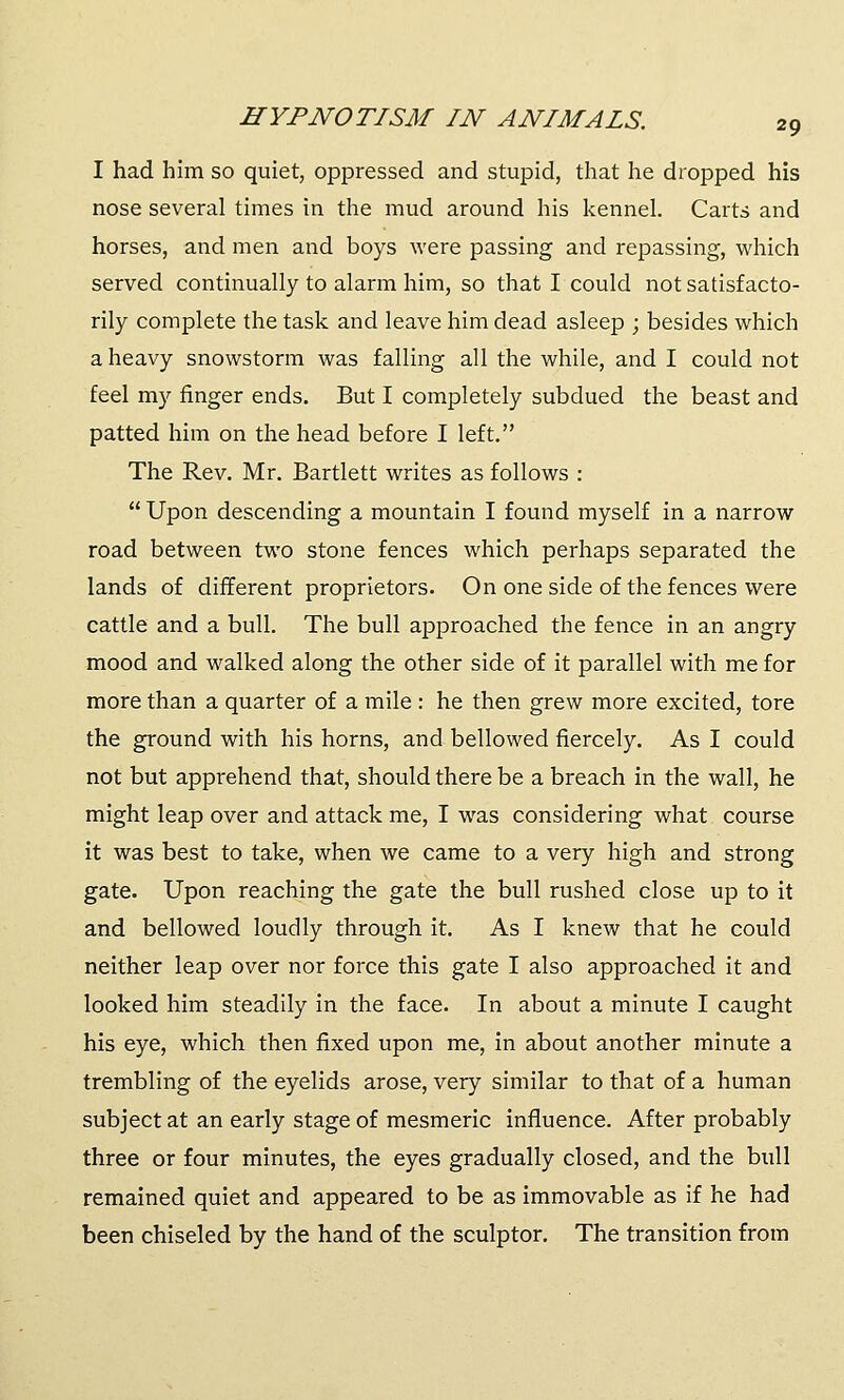 I had him so quiet, oppressed and stupid, that he dropped his nose several times in the mud around his kennel. Carts and horses, and men and boys were passing and repassing, which served continually to alarm him, so that I could not satisfacto- rily complete the task and leave him dead asleep ; besides which a heavy snowstorm was falling all the while, and I could not feel my finger ends. But I completely subdued the beast and patted him on the head before I left. The Rev. Mr. Bartlett writes as follows :  Upon descending a mountain I found myself in a narrow road between two stone fences which perhaps separated the lands of different proprietors. On one side of the fences were cattle and a bull. The bull approached the fence in an angry mood and walked along the other side of it parallel with me for more than a quarter of a mile : he then grew more excited, tore the ground with his horns, and bellowed fiercely. As I could not but apprehend that, should there be a breach in the wall, he might leap over and attack me, I was considering what course it was best to take, when we came to a very high and strong gate. Upon reaching the gate the bull rushed close up to it and bellowed loudly through it. As I knew that he could neither leap over nor force this gate I also approached it and looked him steadily in the face. In about a minute I caught his eye, which then fixed upon me, in about another minute a trembling of the eyelids arose, very similar to that of a human subject at an early stage of mesmeric influence. After probably three or four minutes, the eyes gradually closed, and the bull remained quiet and appeared to be as immovable as if he had been chiseled by the hand of the sculptor. The transition from