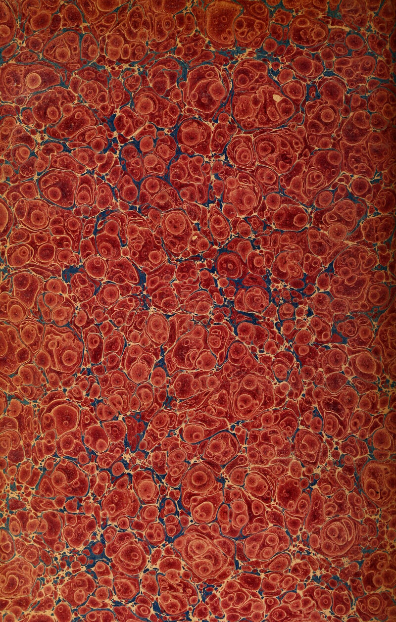 -^r-V-«fV ■^ : Y (/• \^-^ <t /  ■m-,. -'i^ -^p^^^^r^r' A.i;i>.^?^<t: .4^,-^; .^<,'K -mj^M^::'^:'-' w '^■r^^ ^Zx^' ^ ^^\-n^X^i^''' ^ i ^1^^ ^^^-V^-^ ^^fc-4 -'^ ,v^^r^^-^\ '^-^1 •' ^^^T^i^ 1'■■-.■' ^i.iki^'^ ^^^^^#V^, \