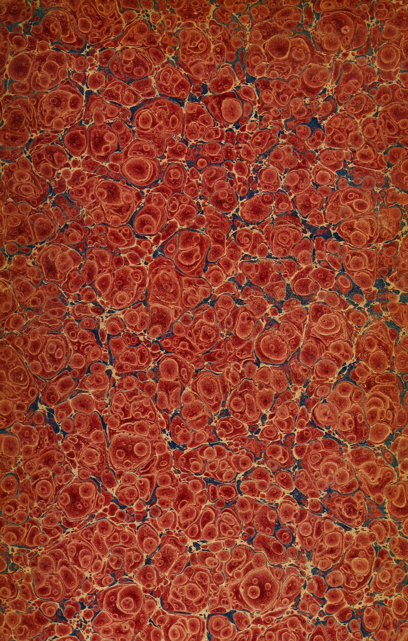 5^^^4.: >^: .jife^ i^ws4*w-^A .J^-::-:'^'H^ K\ JW ' I ^^..^ .lÄw ^■'^^i ■X A-'- *f-*Ki 4« .^^ W^v /^'^ xV^Ä.