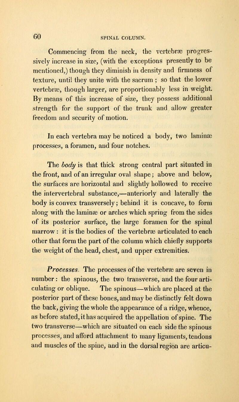 Commencing from the neck, the vertebrae progres- sively increase in size, (with the exceptions presently to be mentioned,) though they diminish in density and firmness of texture, until they unite with the sacrum ; so that the lower vertebrae, though larger, are proportionably less in weight. By means of this increase of size, they possess additional strength for the support of the trunk and allow greater freedom and security of motion. In each vertebra may be noticed a body, two laminae processes, a foramen, and four notches. The body is that thick strong central part situated in the front, and of an irregular oval shape; above and below, the surfaces are horizontal and slightly hollowed to receive the intervertebral substance,—anteriorly and laterally the body is convex transversely; behind it is concave, to form along with the laminae or arches which spring from the sides of its posterior surface, the large foramen for the spinal marrow : it is the bodies of the vertebrae articulated to each other that form the part of the column which chiefly supports the weight of the head, chest, and upper extremities. Processes. The processes of the vertebrae are seven in number: the spinous, the two transverse, and the four arti- culating or oblique. The spinous—which are placed at the posterior part of these bones, and may be distinctly felt down the back, giving the whole the appearance of a ridge, whence, as before stated, it has acquired the appellation of spine. The two transverse—which are situated on each side the spinous processes, and afford attachment to many ligaments, tendons and muscles of the spine, and in the dorsal region are articu-