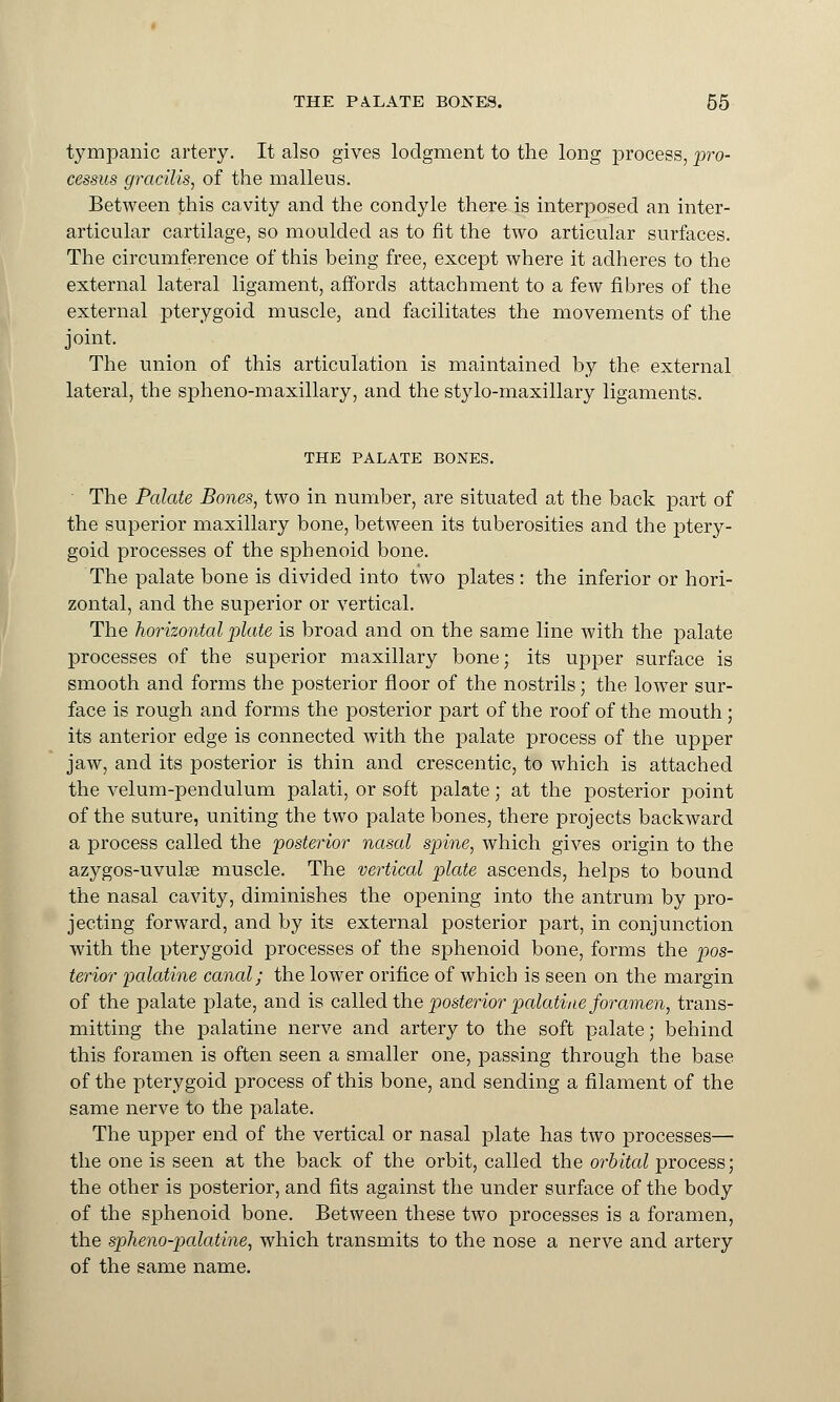 tympanic artery. It also gives lodgment to the long process, pro- cessus gracilis, of the malleus. Between this cavity and the condyle there is interposed an inter- articular cartilage, so moulded as to fit the two articular surfaces. The circumference of this being free, except where it adheres to the external lateral ligament, affords attachment to a few fibres of the external pterygoid muscle, and facilitates the movements of the joint. The union of this articulation is maintained by the external lateral, the spheno-maxillary, and the stylo-maxillary ligaments. THE PALATE BONES. The Palate Bones, two in number, are situated at the back part of the superior maxillary bone, between its tuberosities and the ptery- goid processes of the sphenoid bone. The palate bone is divided into two plates : the inferior or hori- zontal, and the superior or vertical. The horizontal plate is broad and on the same line with the palate processes of the superior maxillary bone; its upper surface is smooth and forms the posterior floor of the nostrils; the lower sur- face is rough and forms the posterior part of the roof of the mouth; its anterior edge is connected with the palate process of the upper jaw, and its posterior is thin and crescentic, to which is attached the velum-pendulum palati, or soft palate; at the posterior point of the suture, uniting the two palate bones, there projects backward a process called the posterior nasal spine, which gives origin to the azygos-uvulse muscle. The vertical plate ascends, helps to bound the nasal cavity, diminishes the opening into the antrum by pro- jecting forward, and by its external posterior part, in conjunction with the pterygoid processes of the sphenoid bone, forms the pos- terior palatine canal; the lower orifice of which is seen on the margin of the palate plate, and is called the posterior palatine foramen, trans- mitting the palatine nerve and artery to the soft palate; behind this foramen is often seen a smaller one, passing through the base of the pterygoid process of this bone, and sending a filament of the same nerve to the palate. The upper end of the vertical or nasal plate has two processes— the one is seen at the back of the orbit, called the orbital process; the other is posterior, and fits against the under surface of the body of the sphenoid bone. Between these two processes is a foramen, the spheno-palatine, which transmits to the nose a nerve and artery of the same name.