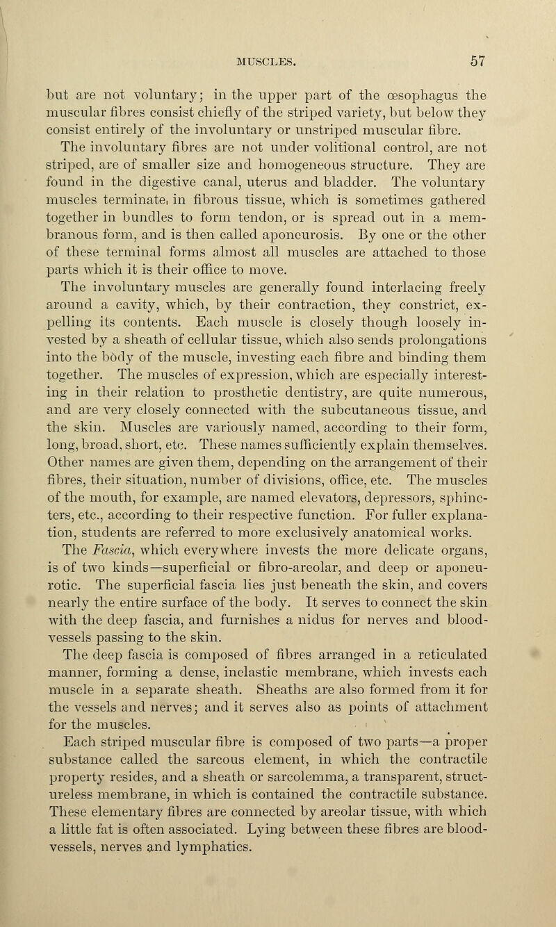 but are not voluntary; in the upper part of the oesophagus the muscular fibres consist chiefly of the striped variety, but below they consist entirely of the involuntary or unstriped muscular fibre. The involuntary fibres are not under volitional control, are not striped, are of smaller size and homogeneous structure. They are found in the digestive canal, uterus and bladder. The voluntary muscles terminate, in fibrous tissue, which is sometimes gathered together in bundles to form tendon, or is spread out in a mem- branous form, and is then called aponeurosis. By one or the other of these terminal forms almost all muscles are attached to those parts which it is their office to move. The involuntary muscles are generally found interlacing freely around a cavity, which, by their contraction, they constrict, ex- pelling its contents. Each muscle is closely though loosely in- vested by a sheath of cellular tissue, which also sends prolongations into the body of the muscle, investing each fibre and binding them together. The muscles of expression, which are especially interest- ing in their relation to prosthetic dentistry, are quite numerous, and are very closely connected with the subcutaneous tissue, and the skin. Muscles are variously named, according to their form, long, broad, short, etc. These names sufficiently explain themselves. Other names are given them, depending on the arrangement of their fibres, their situation, number of divisions, office, etc. The muscles of the mouth, for example, are named elevators, depressors, sphinc- ters, etc., according to their respective function. For fuller explana- tion, students are referred to more exclusively anatomical works. The Fascia, which everywhere invests the more delicate organs, is of two kinds—superficial or fibro-areolar, and deep or aponeu- rotic. The superficial fascia lies just beneath the skin, and covers nearly the entire surface of the body. It serves to connect the skin with the deep fascia, and furnishes a nidus for nerves and blood- vessels passing to the skin. The deep fascia is composed of fibres arranged in a reticulated manner, forming a dense, inelastic membrane, which invests each muscle in a separate sheath. Sheaths are also formed from it for the vessels and nerves; and it serves also as points of attachment for the muscles. Each striped muscular fibre is composed of two parts—a proper substance called the sarcous element, in which the contractile property resides, and a sheath or sarcolemma, a transparent, struct- ureless membrane, in which is contained the contractile substance. These elementary fibres are connected by areolar tissue, with which a little fat is often associated. Lying between these fibres are blood- vessels, nerves and lymphatics.