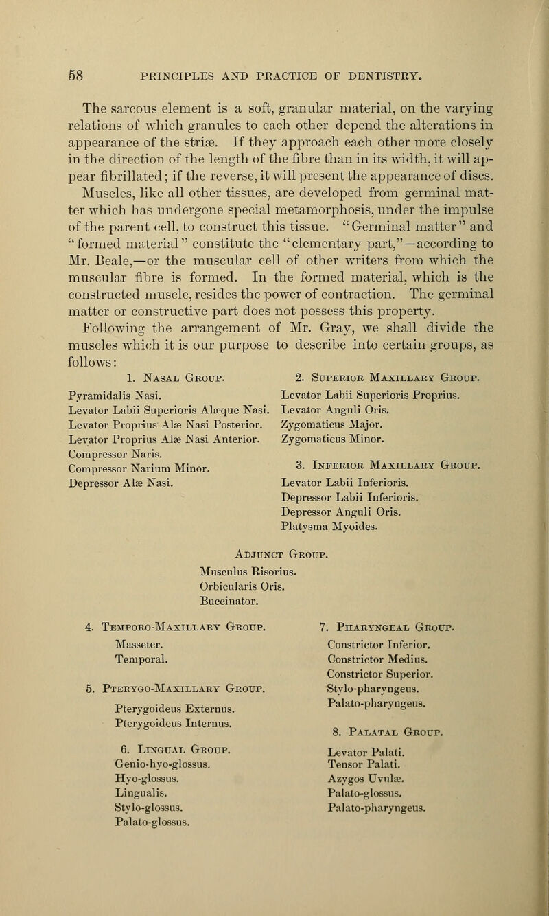 The sarcous element is a soft, granular material, on the varying relations of which granules to each other depend the alterations in appearance of the stria?. If they approach each other more closely in the direction of the length of the fibre than in its width, it will ap- pear fibrillated; if the reverse, it will present the appearance of discs. Muscles, like all other tissues, are developed from germinal mat- ter which has undergone special metamorphosis, under the impulse of the parent cell, to construct this tissue.  Germinal matter and formed material constitute the elementary part,—according to Mr. Beale,—or the muscular cell of other writers from which the muscular fibre is formed. In the formed material, which is the constructed muscle, resides the power of contraction. The germinal matter or constructive part does not possess this propert}^. Following the arrangement of Mr. Gray, we shall divide the muscles which it is our purpose to describe into certain groups, as follows: 1. Nasal Group. Pyramidalis Nasi. Levator Labii Superioris Alseque Nasi. Levator Proprius Alse Nasi Posterior. Levator Proprius Alse Nasi Anterior. Compressor Naris. Compressor Narium Minor. Depressor Alse Nasi. 2. Superior Maxillary Group. Levator Labii Superioris Proprius. Levator Anguli Oris. Zygomaticus Major. Zygomaticus Minor. 3. Inferior Maxillary Group. Levator Labii Inferioris. Depressor Labii Inferioris. Depressor Anguli Oris. Platysma Myoides. Adjunct Group. Musculus Risorius. Orbicularis Oris. Buccinator. 4. Temporo-Maxillary Group. Masseter. Temporal. 5. Pterygo-Maxillary Group. Pterygoideus Externus. Pterygoideus Internus. 6. Lingual Group. Genio-hyo-glossus. Hyo-glossus. Lingualis. Stylo-glossus. Palato-glossus. 7. Pharyngeal Group. Constrictor Inferior. Constrictor Medius. Constrictor Superior. Stylo-pharyngeus. Palato-pharyngeus. 8. Palatal Group. Levator Palati. Tensor Palati. Azygos Uvulse. Palato-glossus. Palato-pharyngeus.