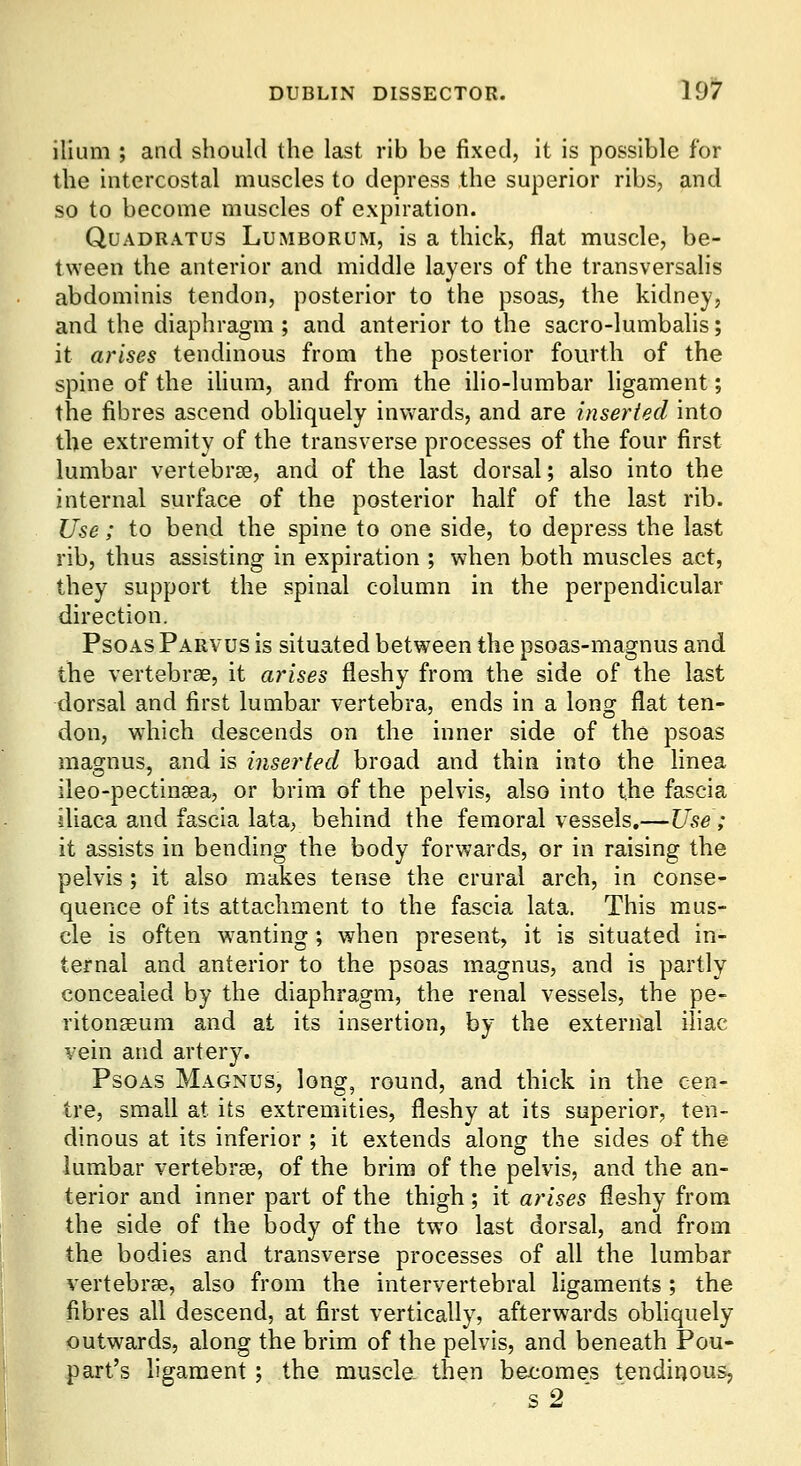 ilium ; and should the last rib be fixed, it is possible for the intercostal muscles to depress the superior ribs, and so to become muscles of expiration. QuADRATUS LuMBORUM, is a thick, flat muscle, be- tween the anterior and middle layers of the transversalis abdominis tendon, posterior to the psoas, the kidney, and the diaphragm ; and anterior to the sacro-lumbalis; it arises tendinous from the posterior fourth of the spine of the iUum, and from the ilio-lurabar ligament; the fibres ascend obhquely inwards, and are inserted into the extremity of the transverse processes of the four first lumbar vertebrae, and of the last dorsal; also into the internal surface of the posterior half of the last rib. Use; to bend the spine to one side, to depress the last rib, thus assisting in expiration ; when both muscles act, they support the spinal column in the perpendicular direction. Psoas Parvus is situated between the psoas-magnus and the vertebrae, it arises fleshy from the side of the last dorsal and first lumbar vertebra, ends in a long flat ten- don, which descends on the inner side of the psoas magnus, and is inserted broad and thin into the hnea ileo-pectinsea, or brim of the pelvis, also into the fascia iliaca and fascia lata, behind the femoral vessels,—Use ; it assists in bending the body forwards, or in raising the pelvis ; it also makes tense the crural arch, in conse- quence of its attachment to the fascia lata. This mus- cle is often wanting ; when present, it is situated in- ternal and anterior to the psoas magnus, and is partly concealed by the diaphragm, the renal vessels, the pe^ ritonaeum and at its insertion, by the external iliac vein and artery. Psoas Magnus, long, round, and thick in the cen- tre, small at its extremities, fleshy at its superior, ten- dinous at its inferior ; it extends along the sides of the lumbar vertebrae, of the brim of the pelvis, and the an- terior and inner part of the thigh ; it arises fleshy from the side of the body of the two last dorsal, and from the bodies and transverse processes of all the lumbar vertebrae, also from the intervertebral ligaments; the fibres all descend, at first vertically, afterw^ards obliquely outwards, along the brim of the pelvis, and beneath Pou- part's ligament; the muscle then becomes tendinous, s2  '
